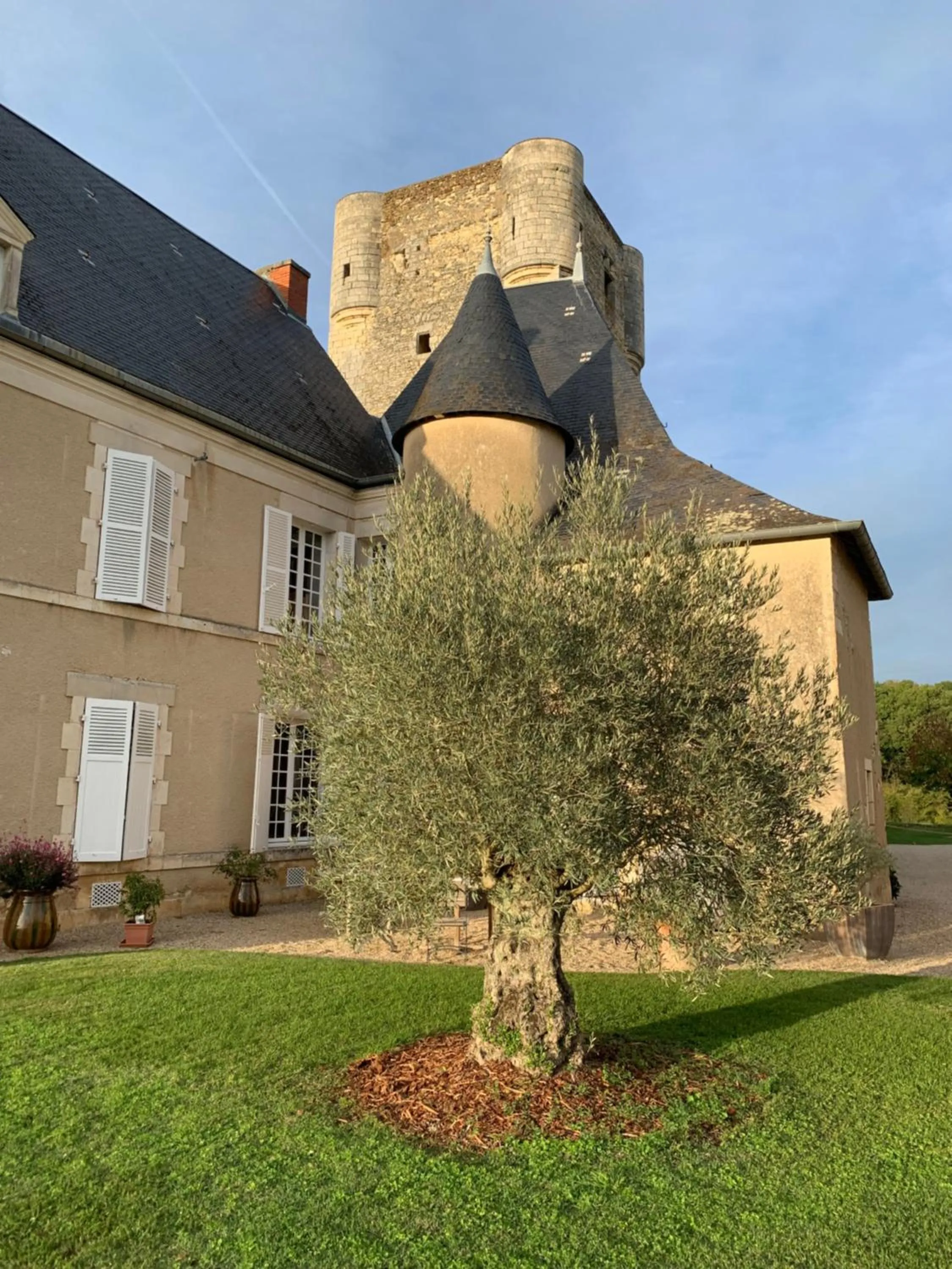 Garden view in Château de Mazières