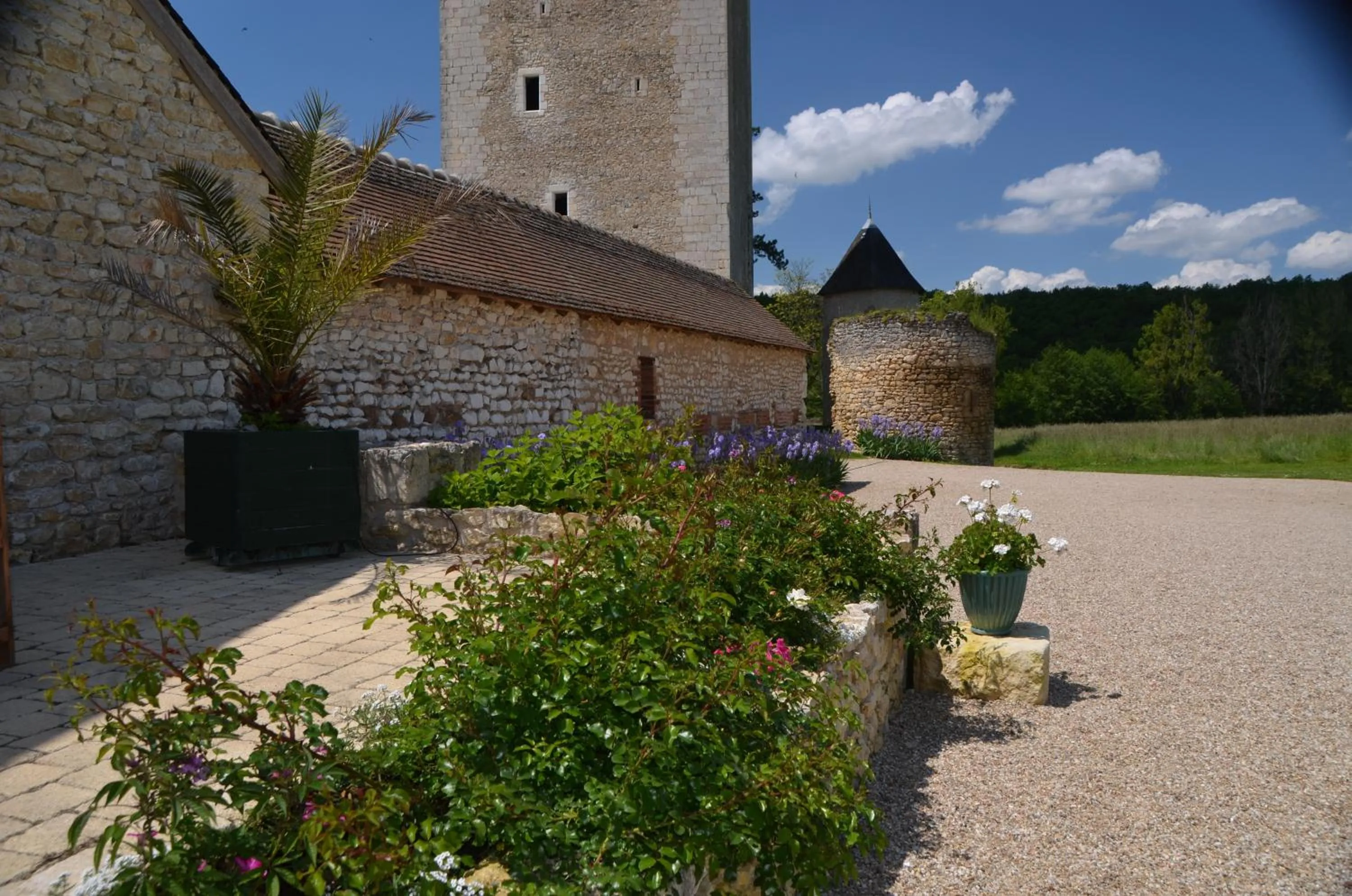 Garden view in Château de Mazières