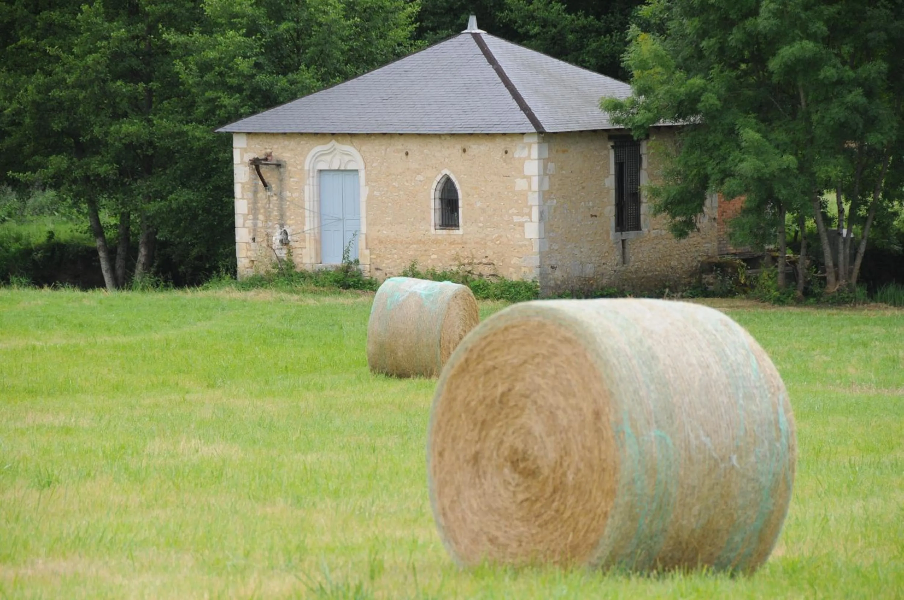 Garden view in Château de Mazières