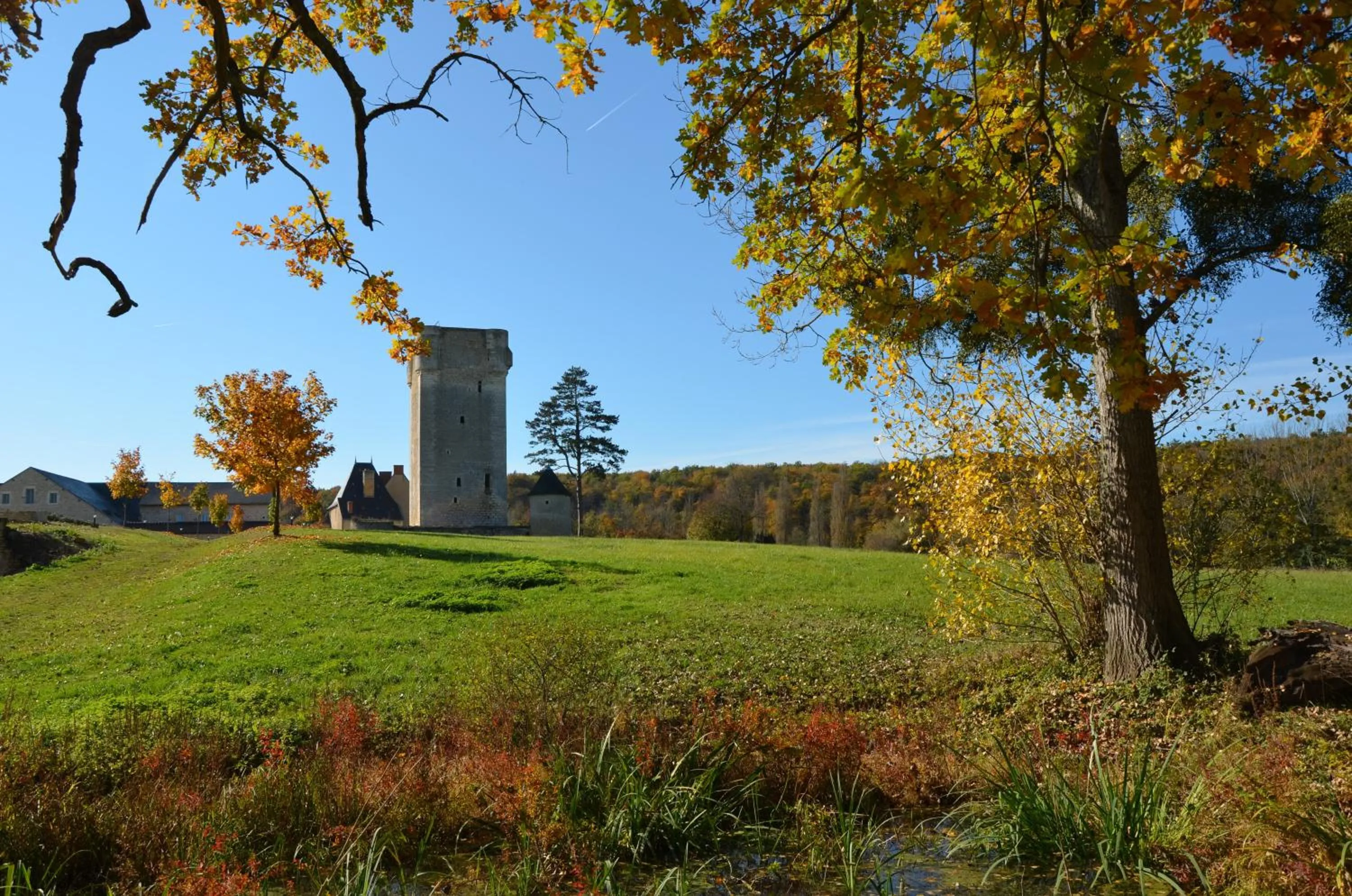 Landmark view in Château de Mazières