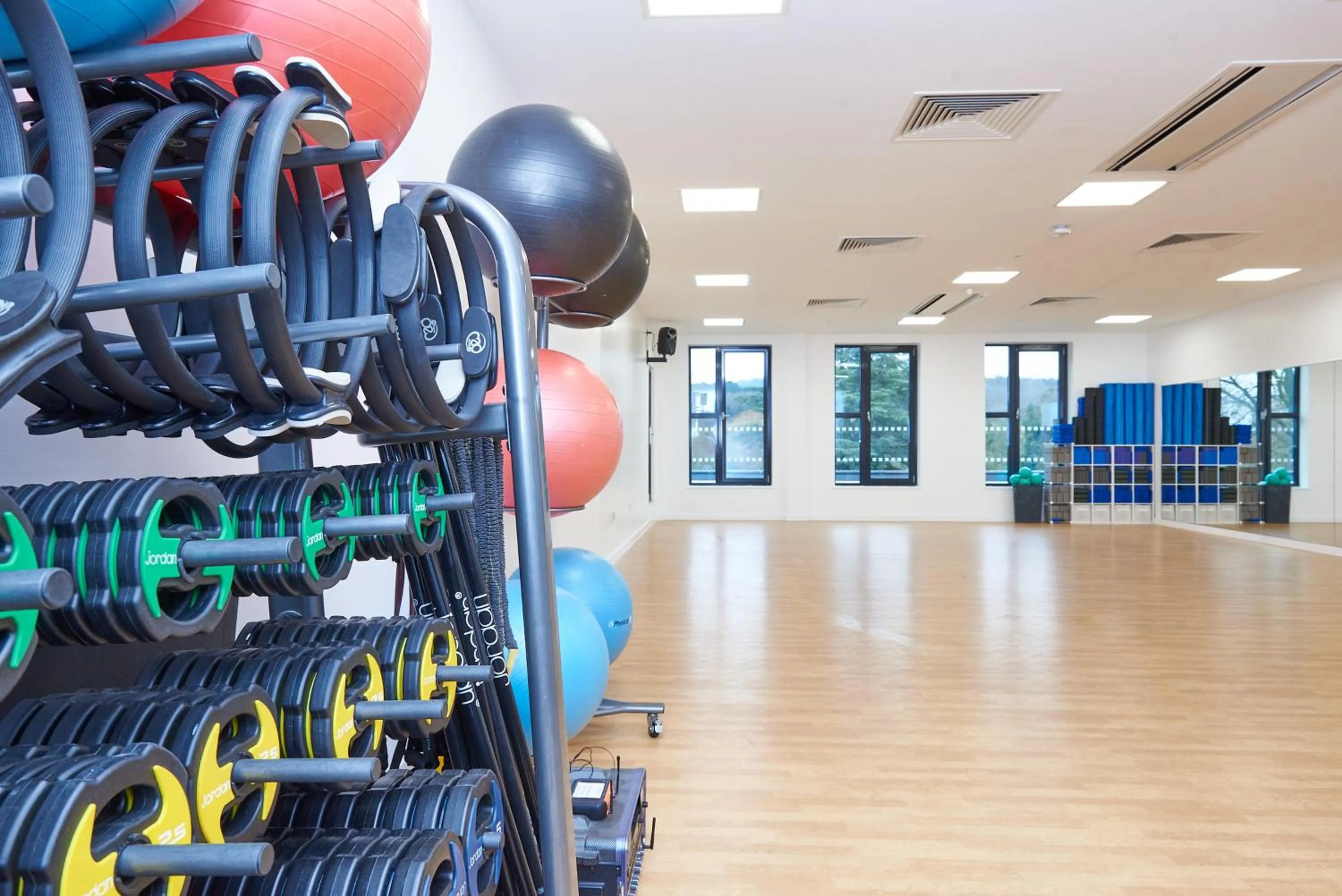 Phyllis Court Members Club