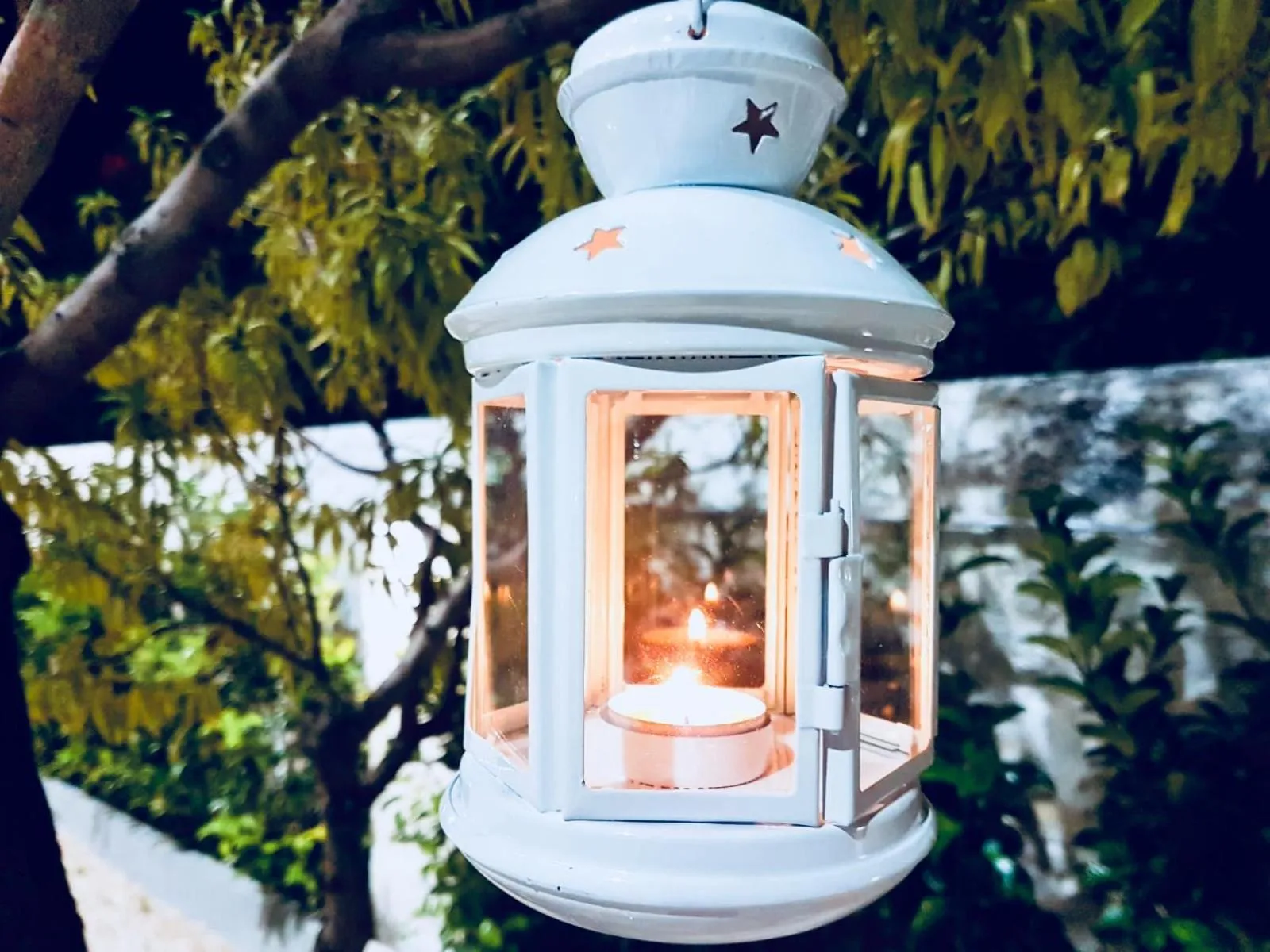 VILLA ADELAIDE SUITE & ROOM