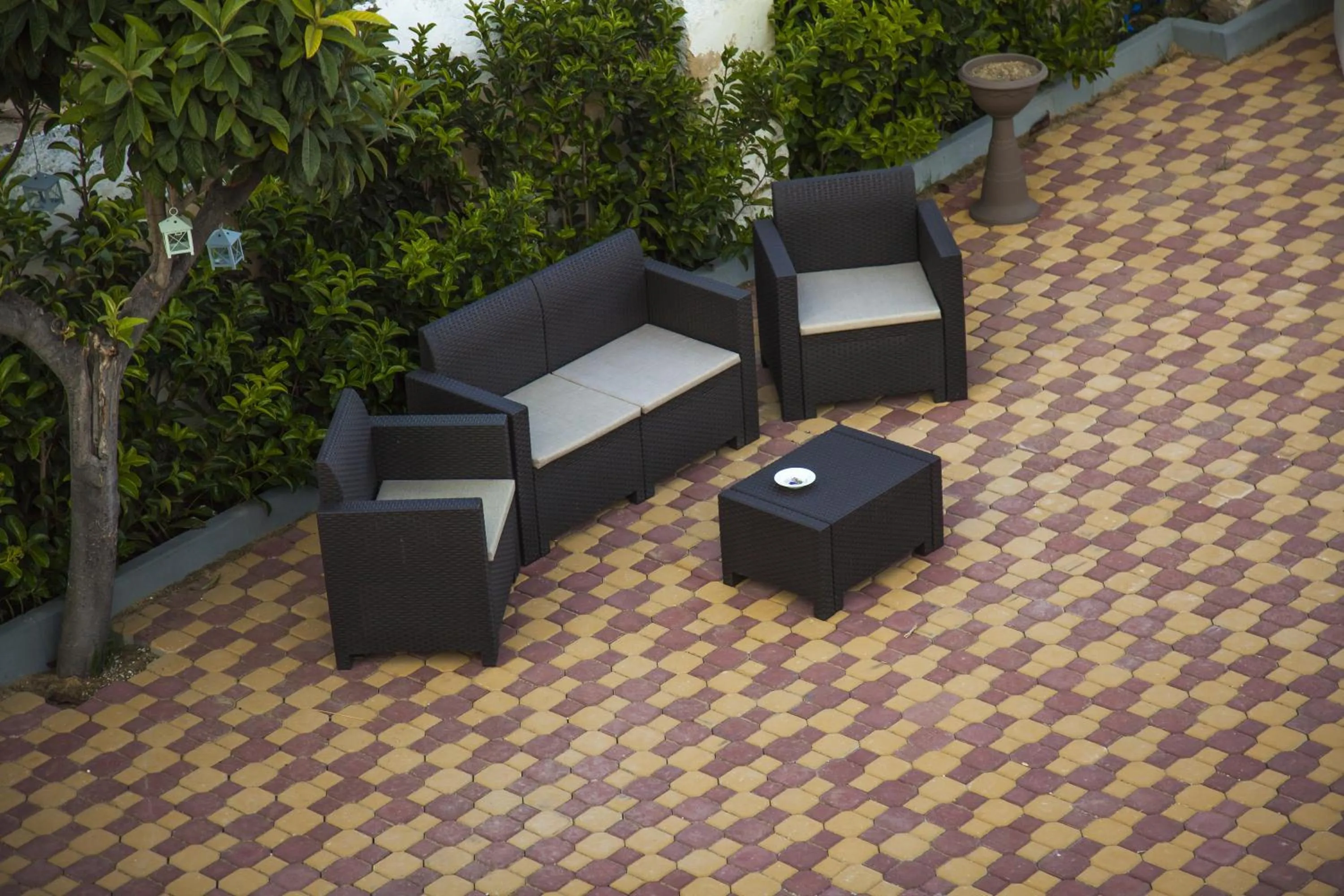 Garden in VILLA ADELAIDE SUITE & ROOM