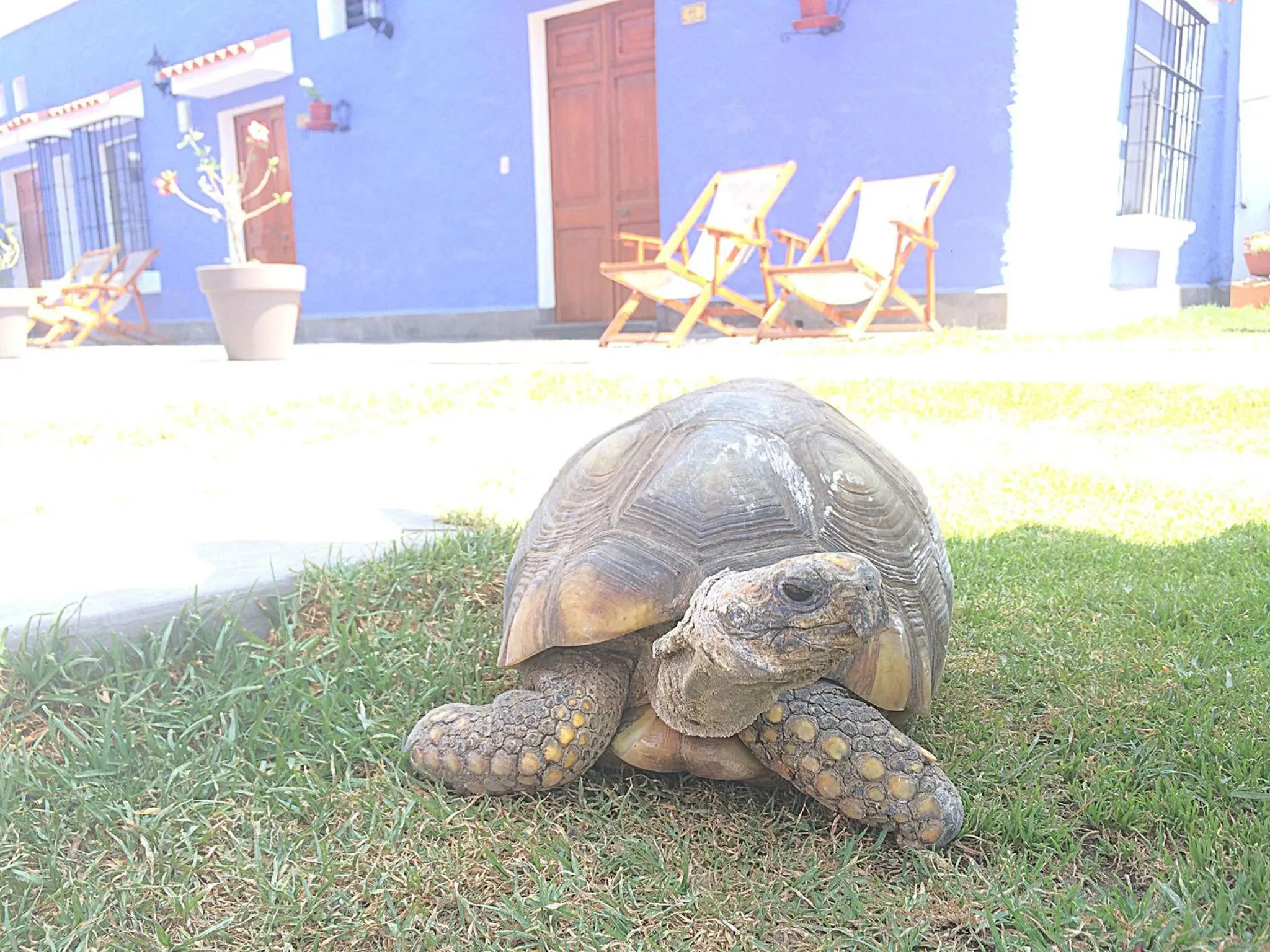 Day in Las Torres de Ugarte