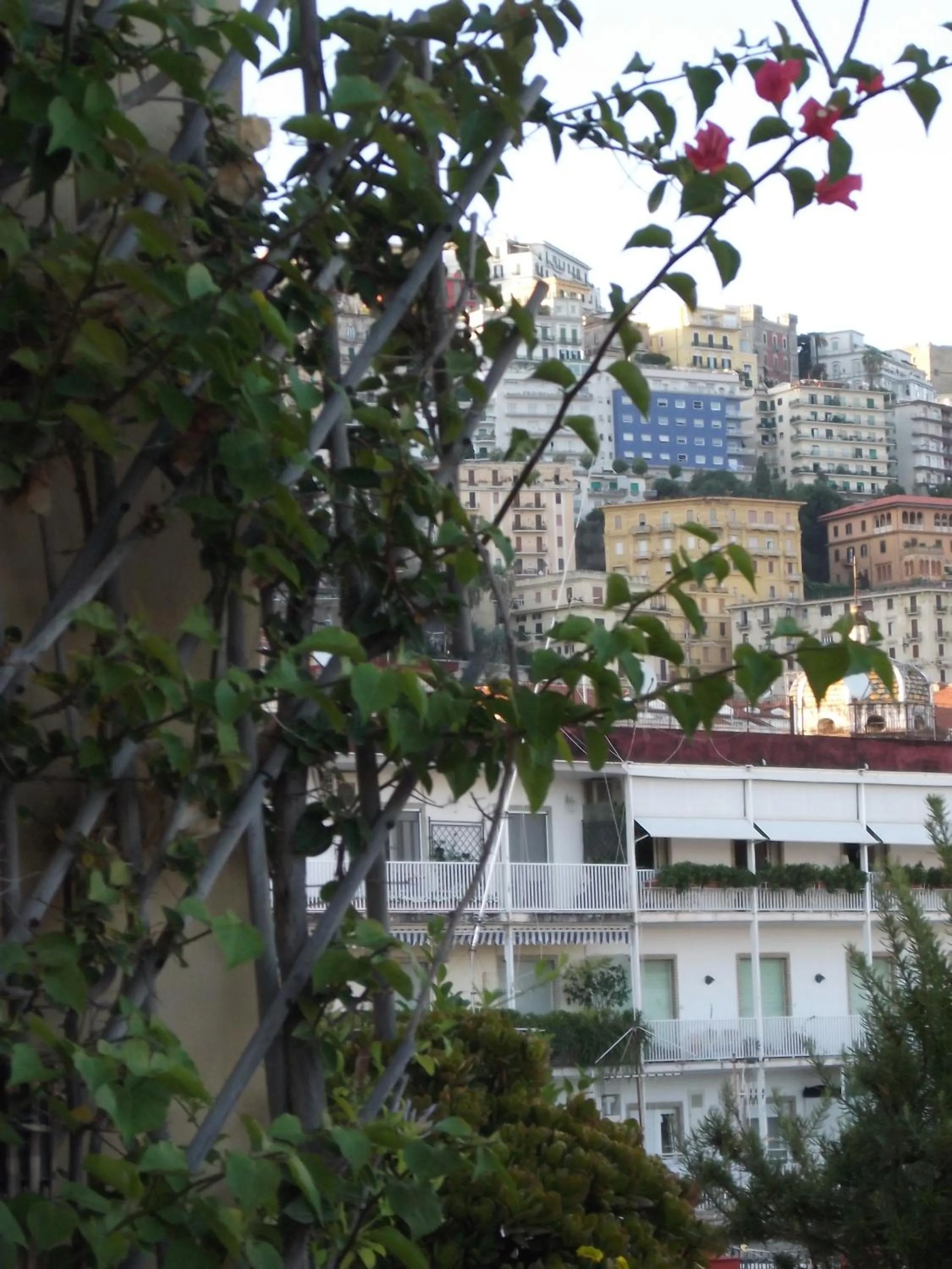 Property building in Chiaia B&B