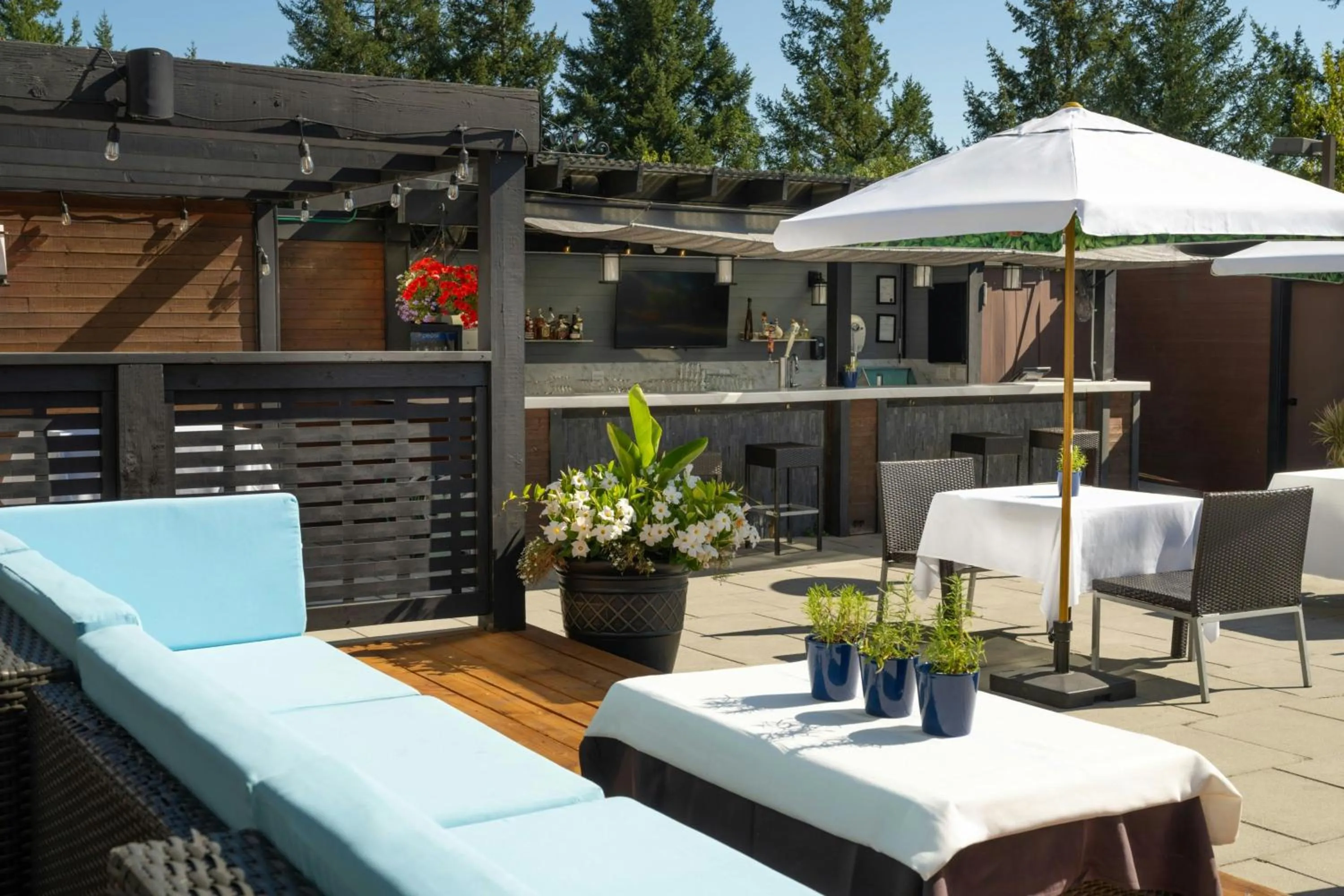 Lounge or bar in Four Points by Sheraton Victoria Gateway