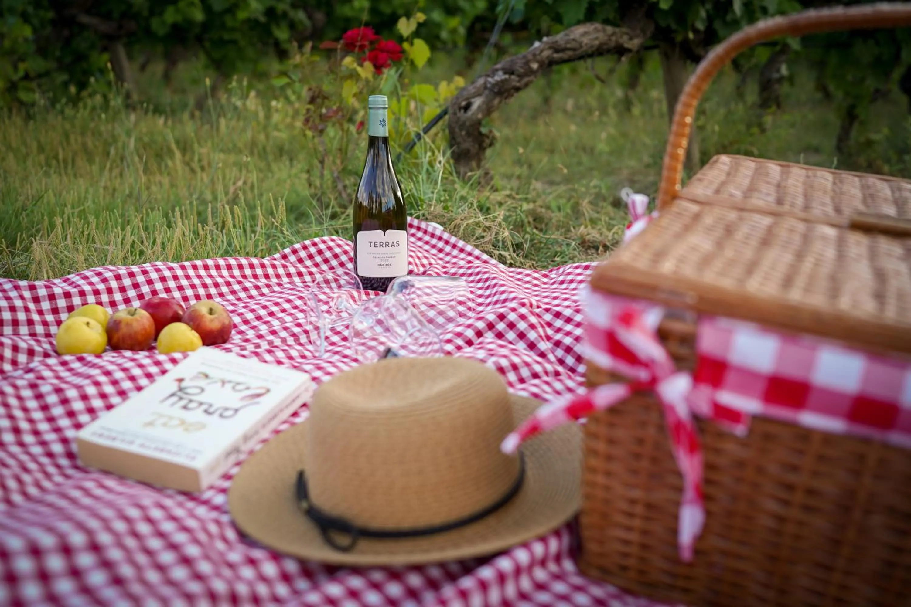 Day in Madre de Água Hotel Rural de Charme