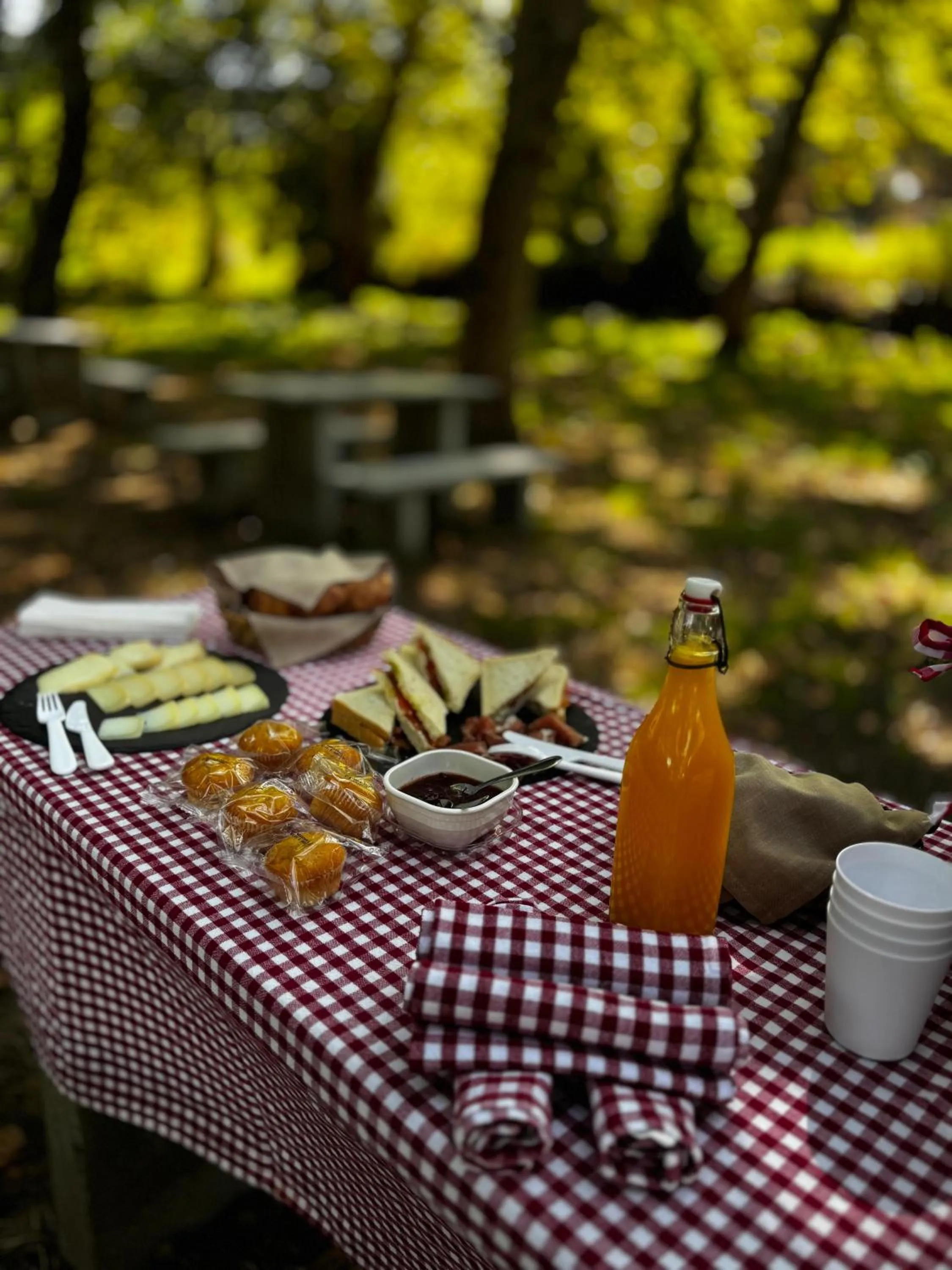 Activities in Madre de Água Hotel Rural de Charme