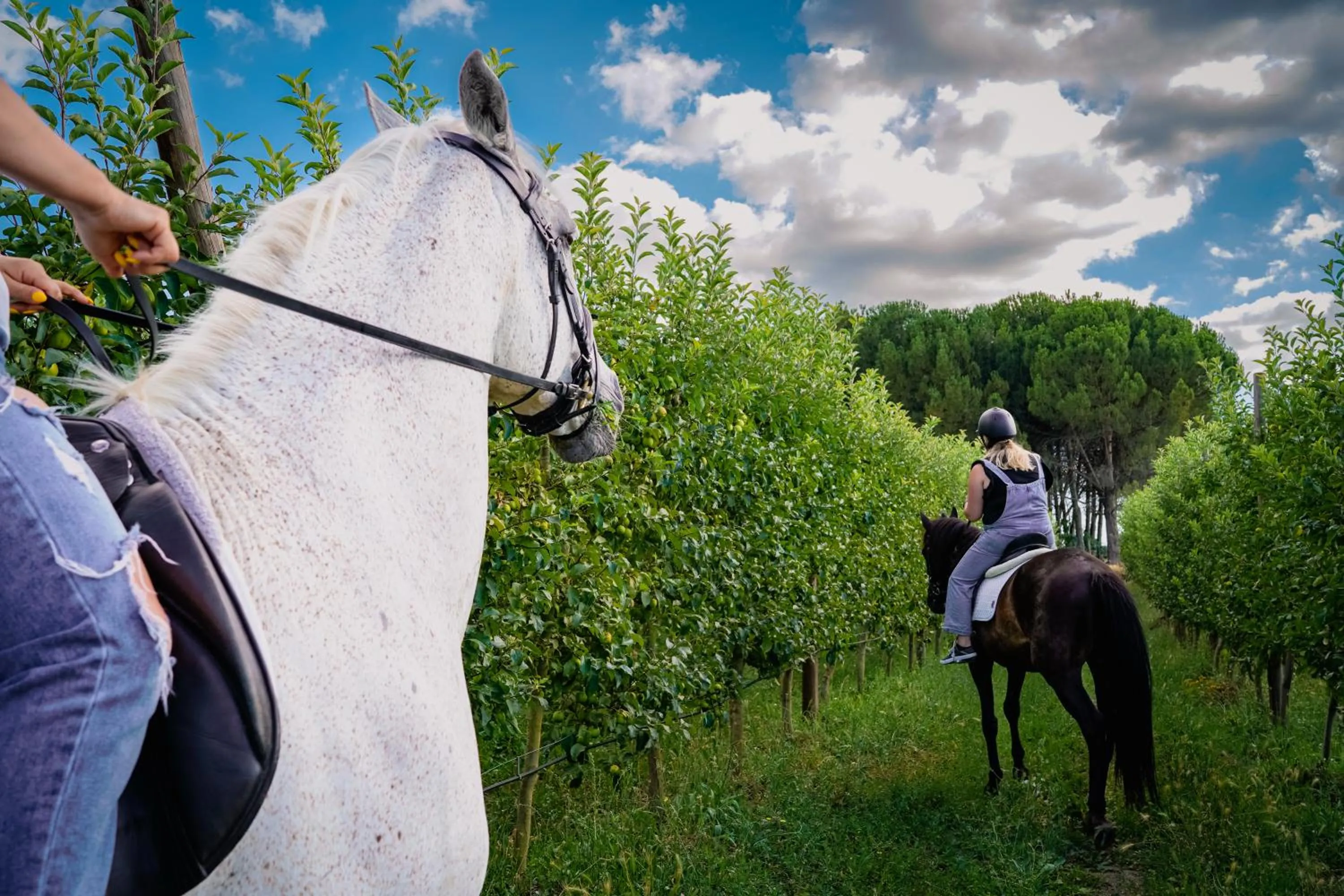 Day in Madre de Água Hotel Rural de Charme