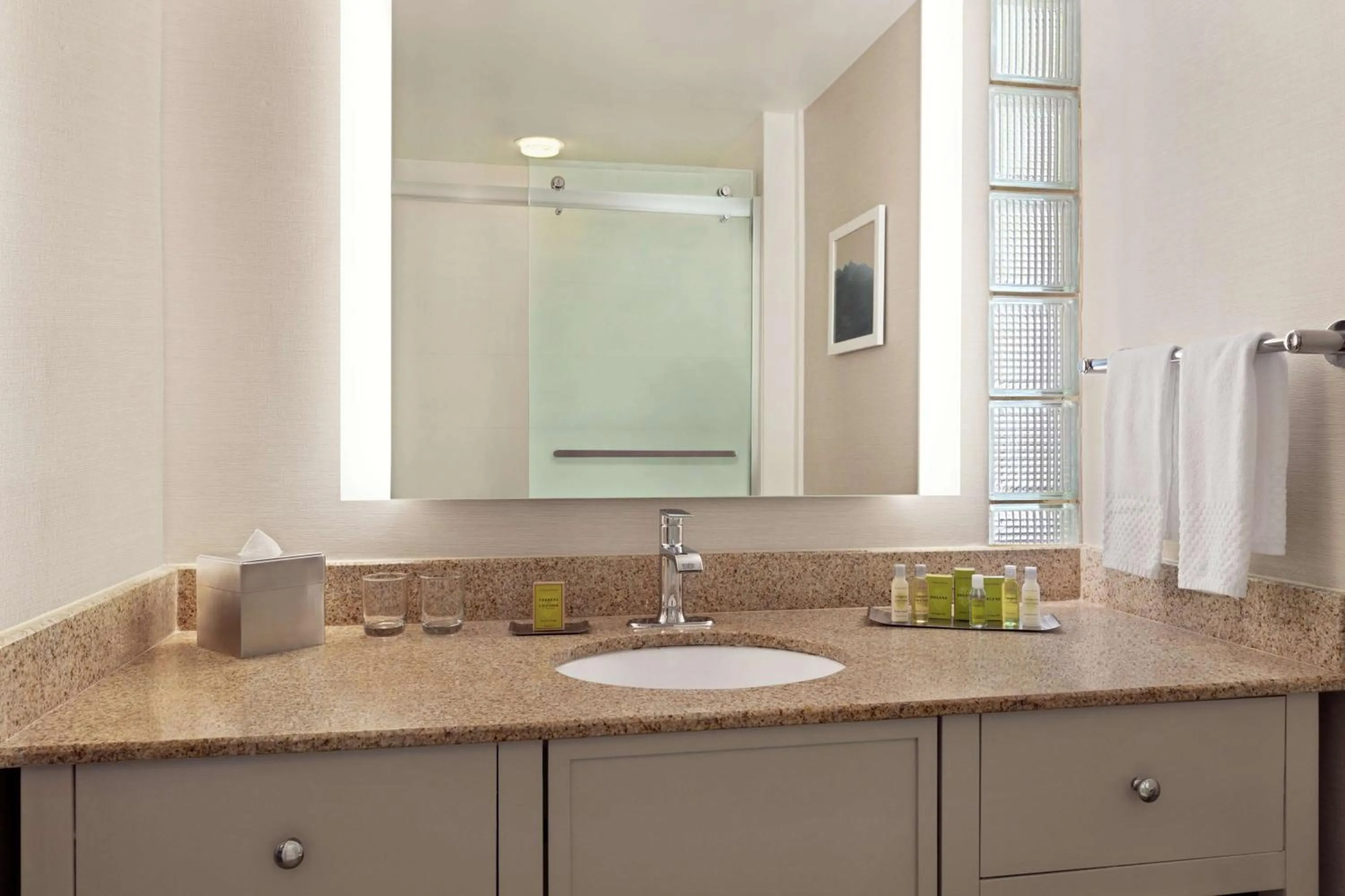 Bathroom in DoubleTree by Hilton Paradise Valley Resort Scottsdale