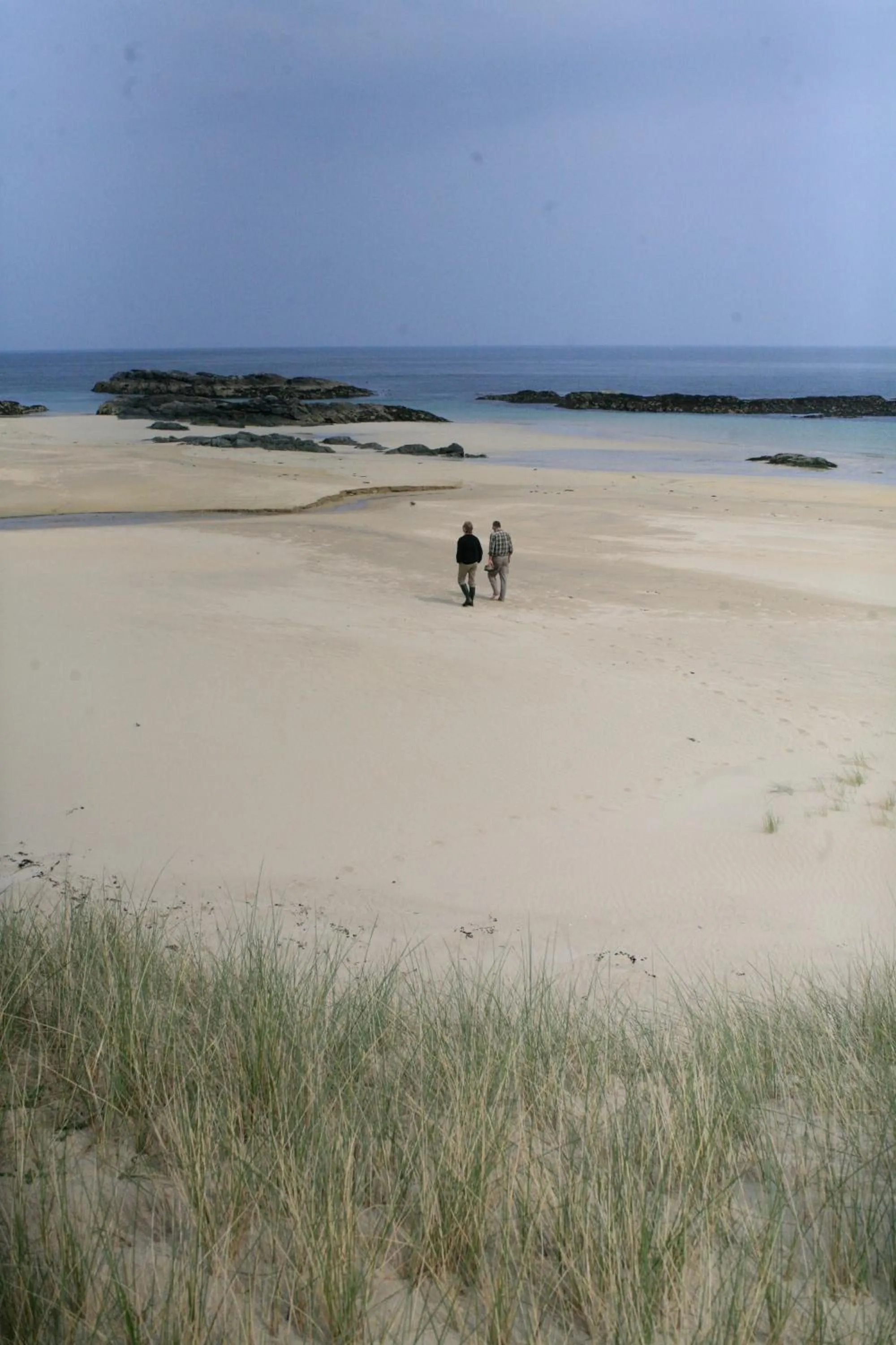 Natural landscape in The Colonsay Hotel