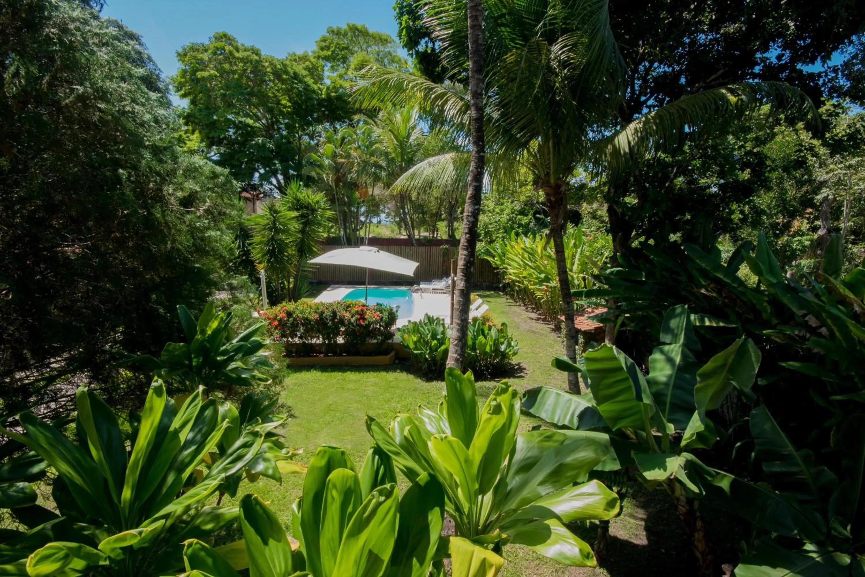 Swimming pool in Pousada Atlântida