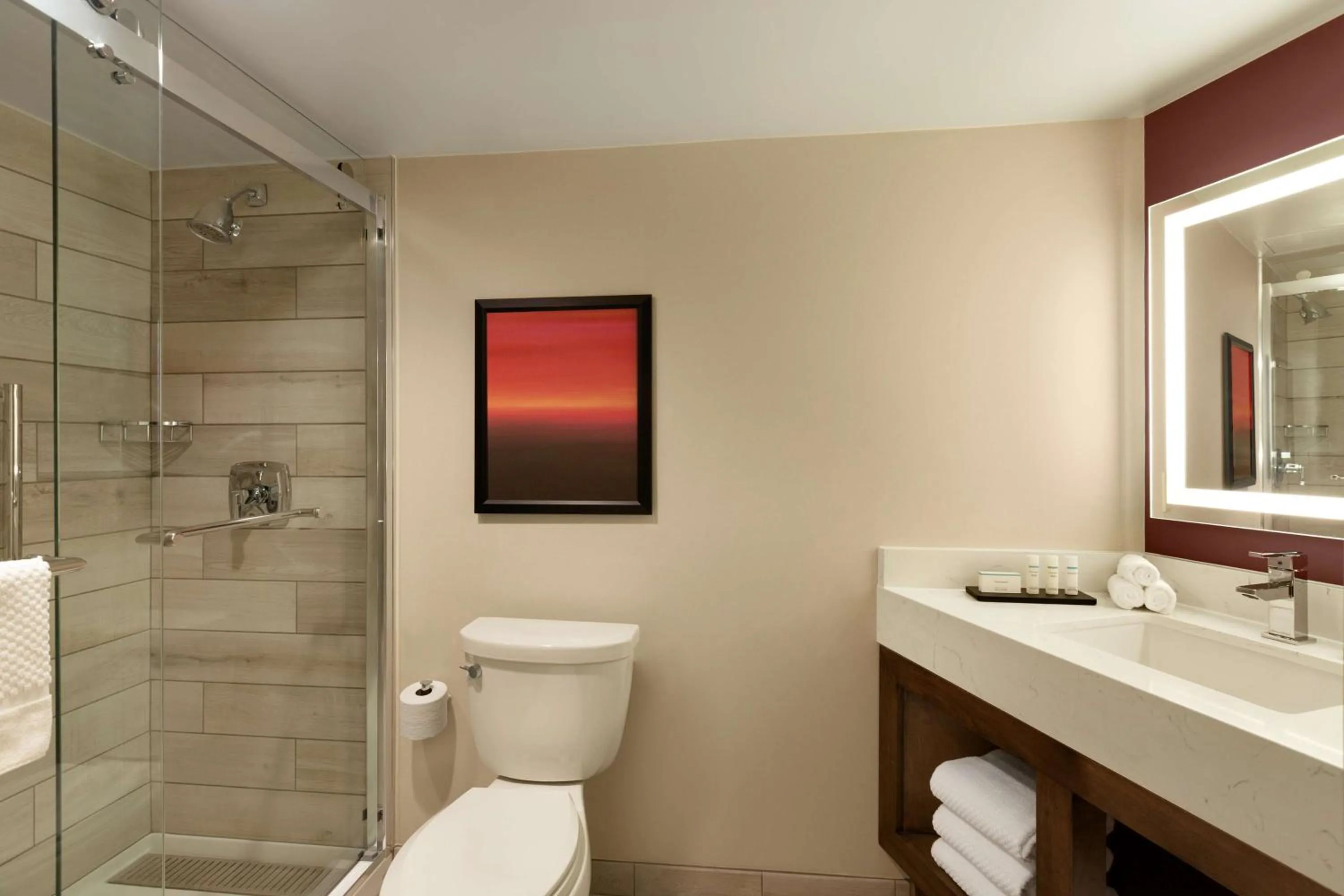 Bathroom in Embassy Suites by Hilton Phoenix Downtown North