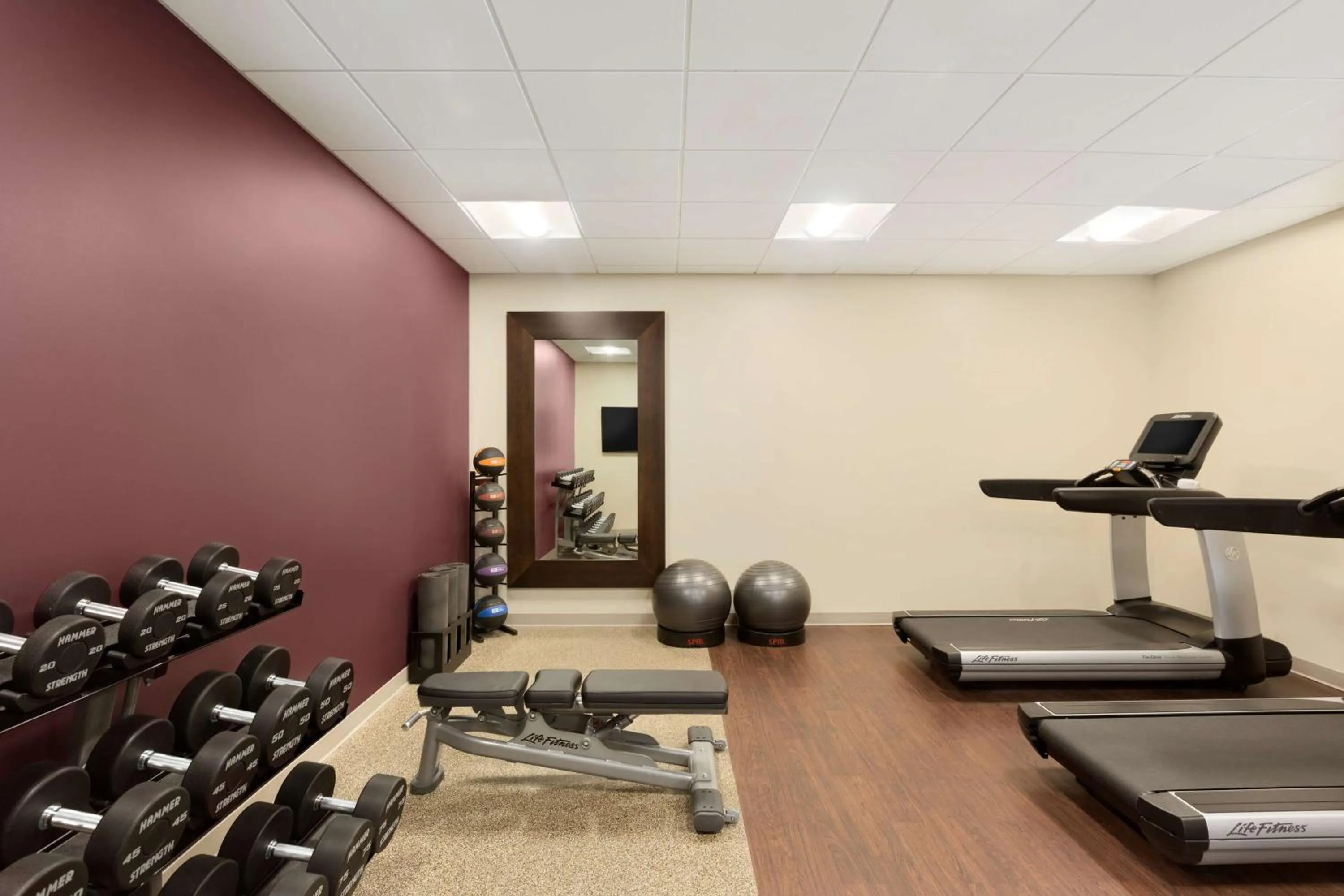 Fitness centre/facilities in Embassy Suites by Hilton Phoenix Downtown North