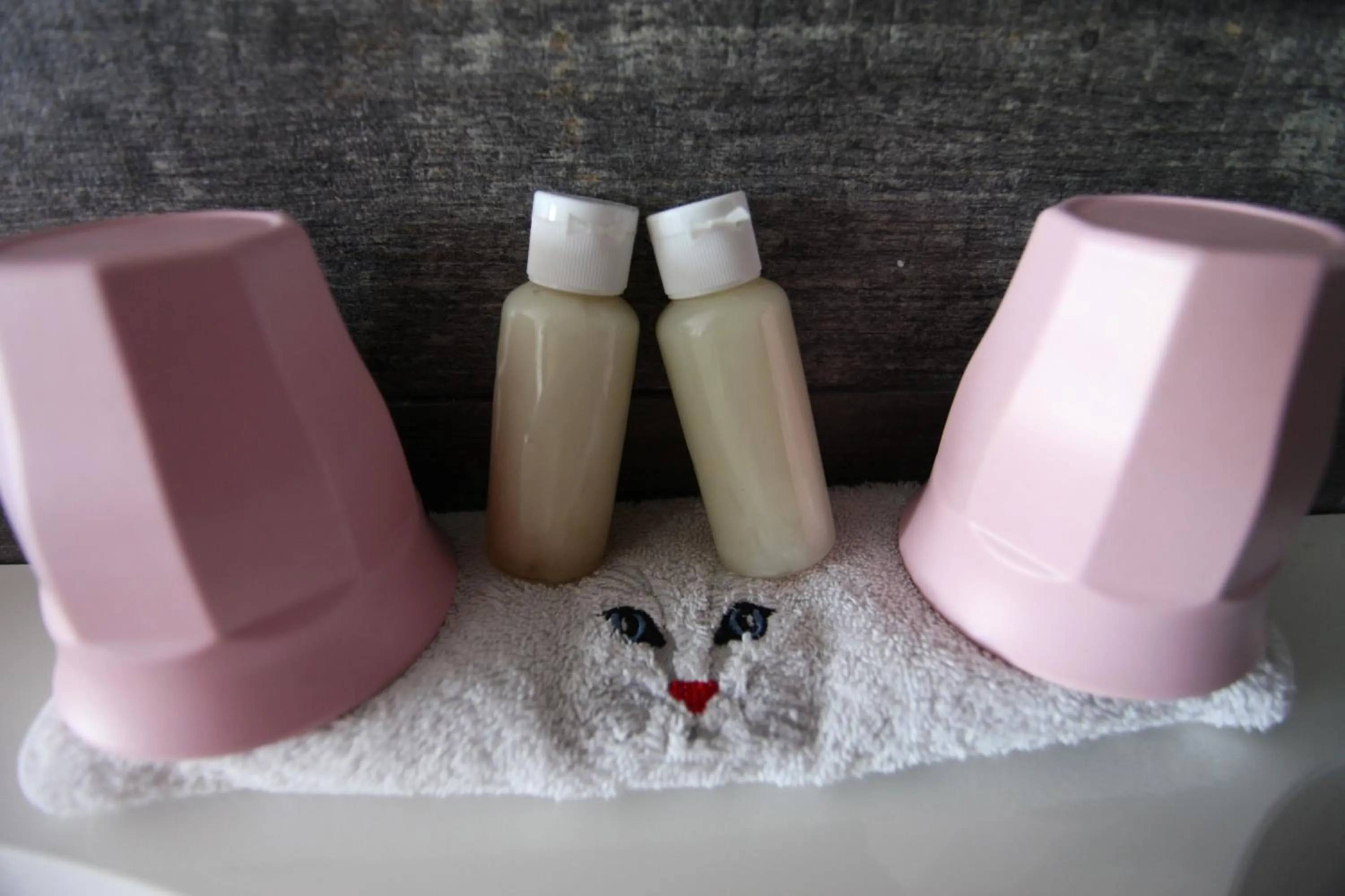 Decorative detail in le chat botté77