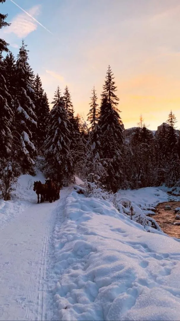 Nei Y Suredl NeveSole