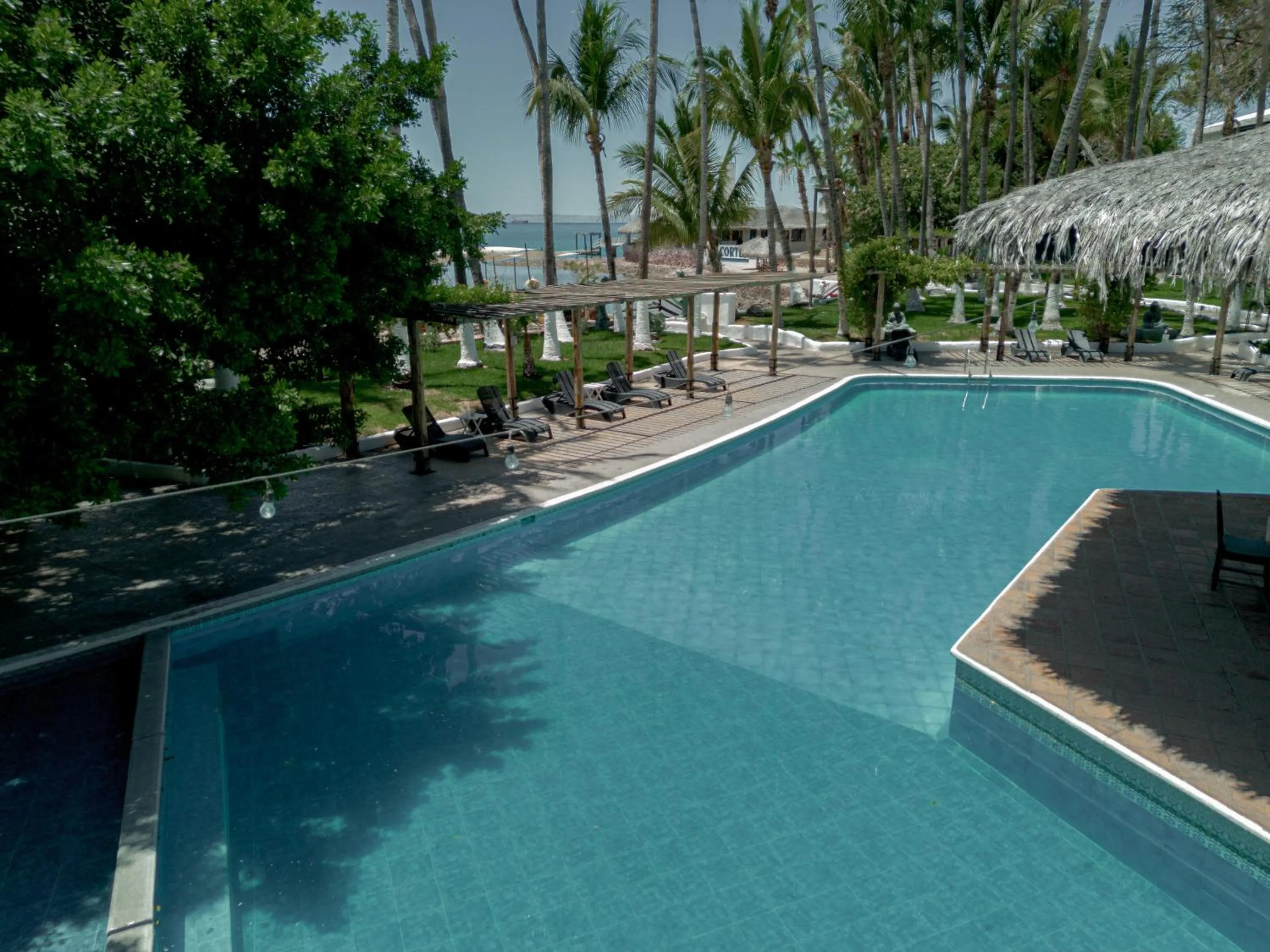 Swimming pool in La Concha Beach Hotel & Club