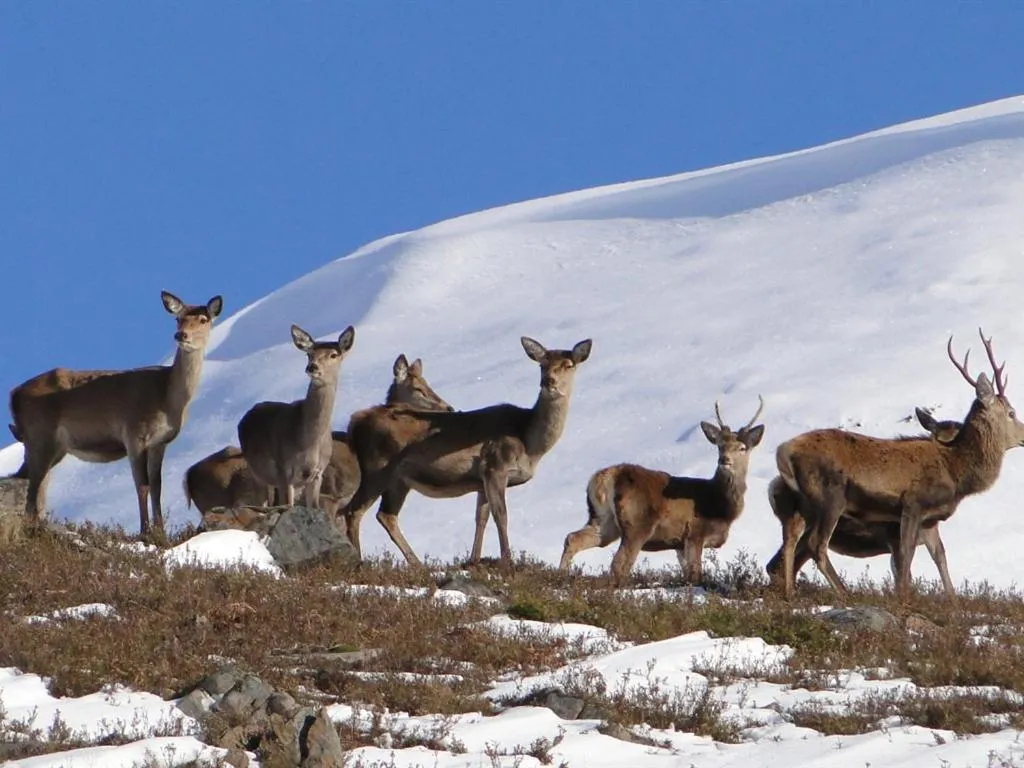 Neighbourhood in Binnilidh Mhor B&B