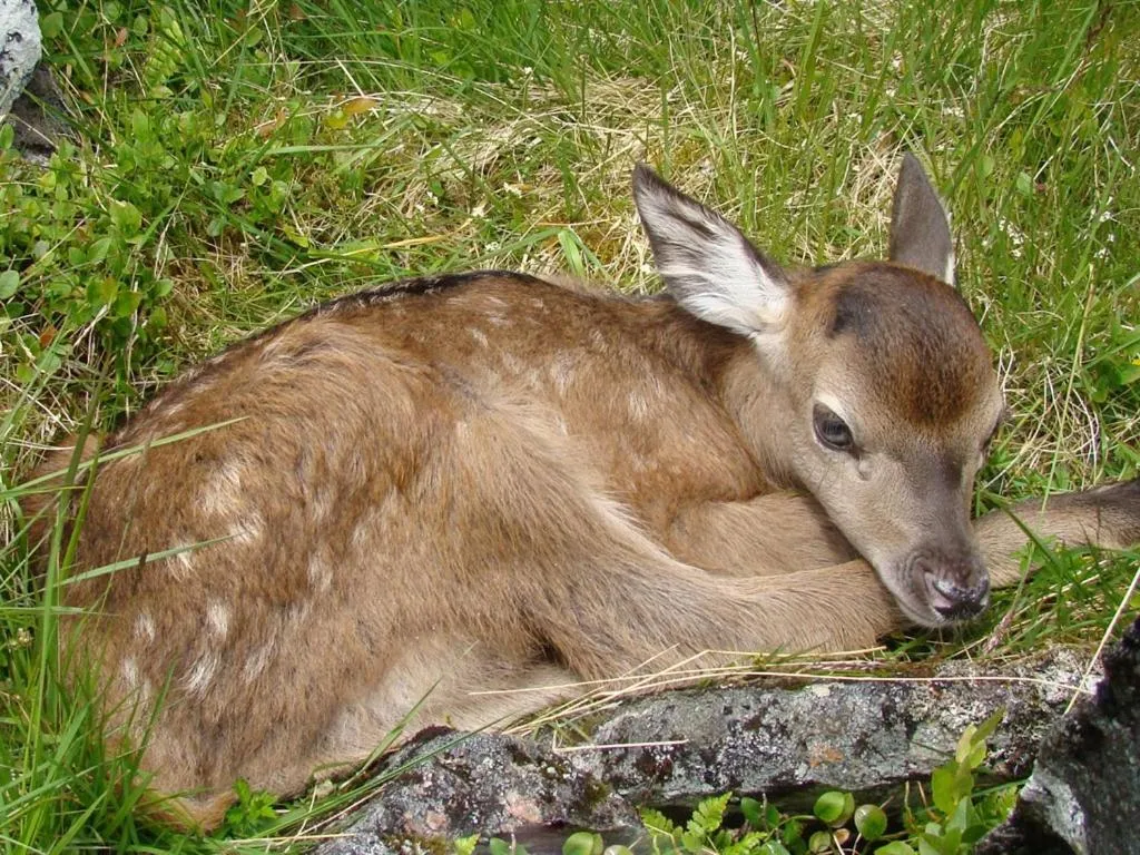 Neighbourhood in Binnilidh Mhor B&B