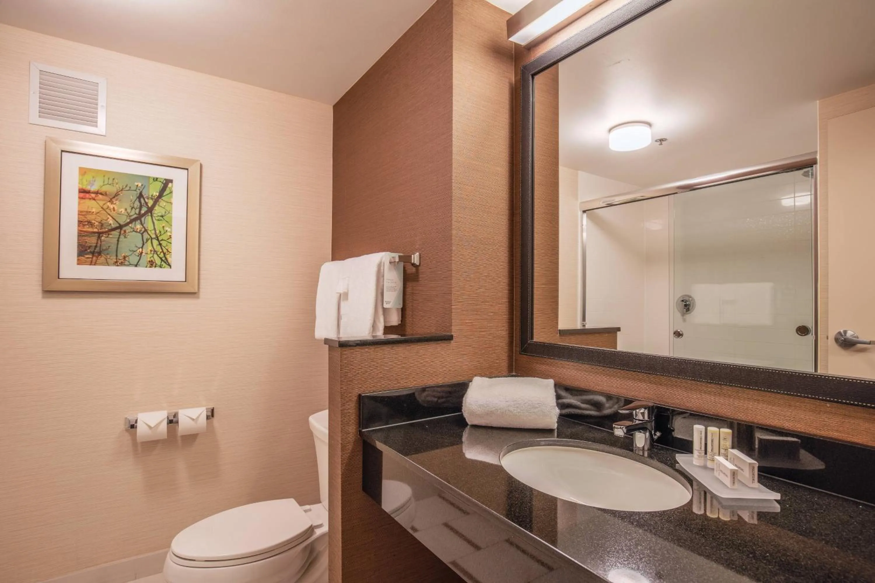 Bathroom in Fairfield Inn and Suites Chicago Downtown-River North