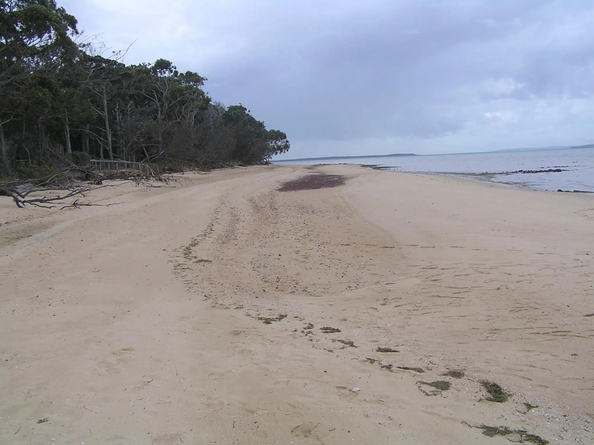 Beach in Seminara Apartments Coochiemudlo Island
