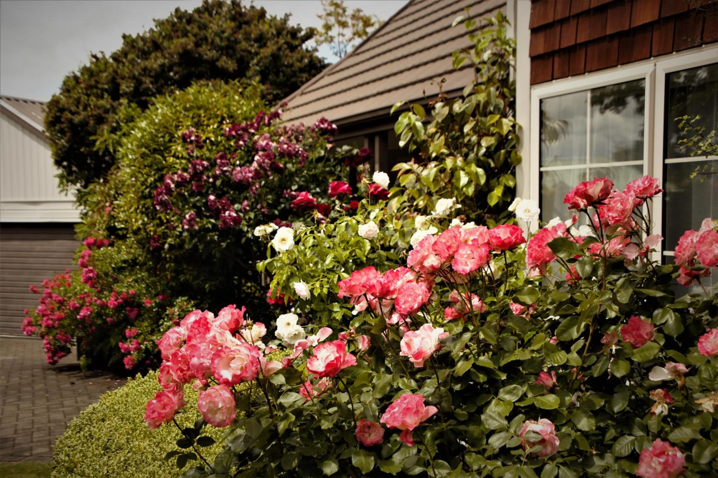 Garden in The Loft Bed and Breakfast