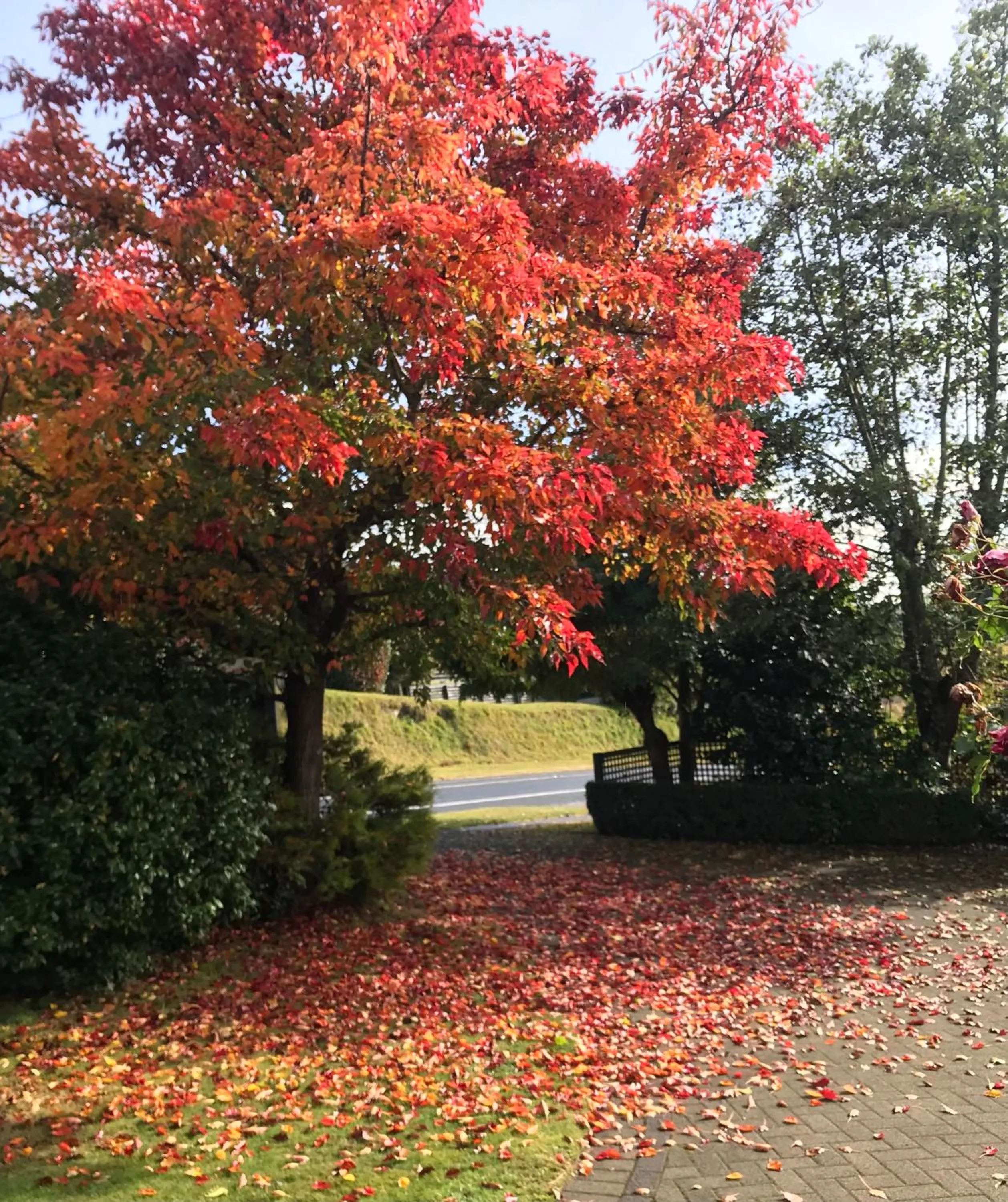 Facade/entrance in The Loft Bed and Breakfast