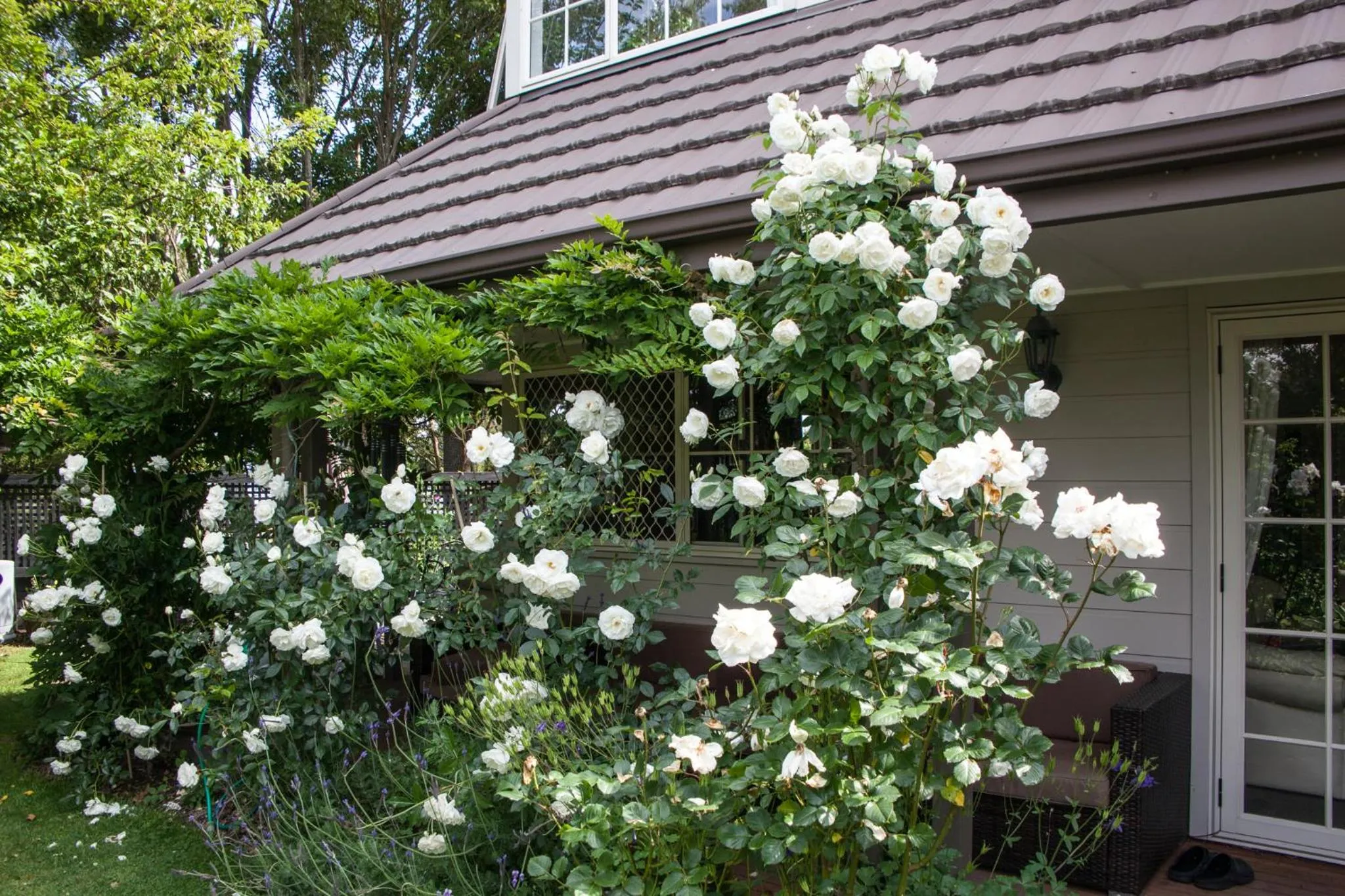 Garden in The Loft Bed and Breakfast