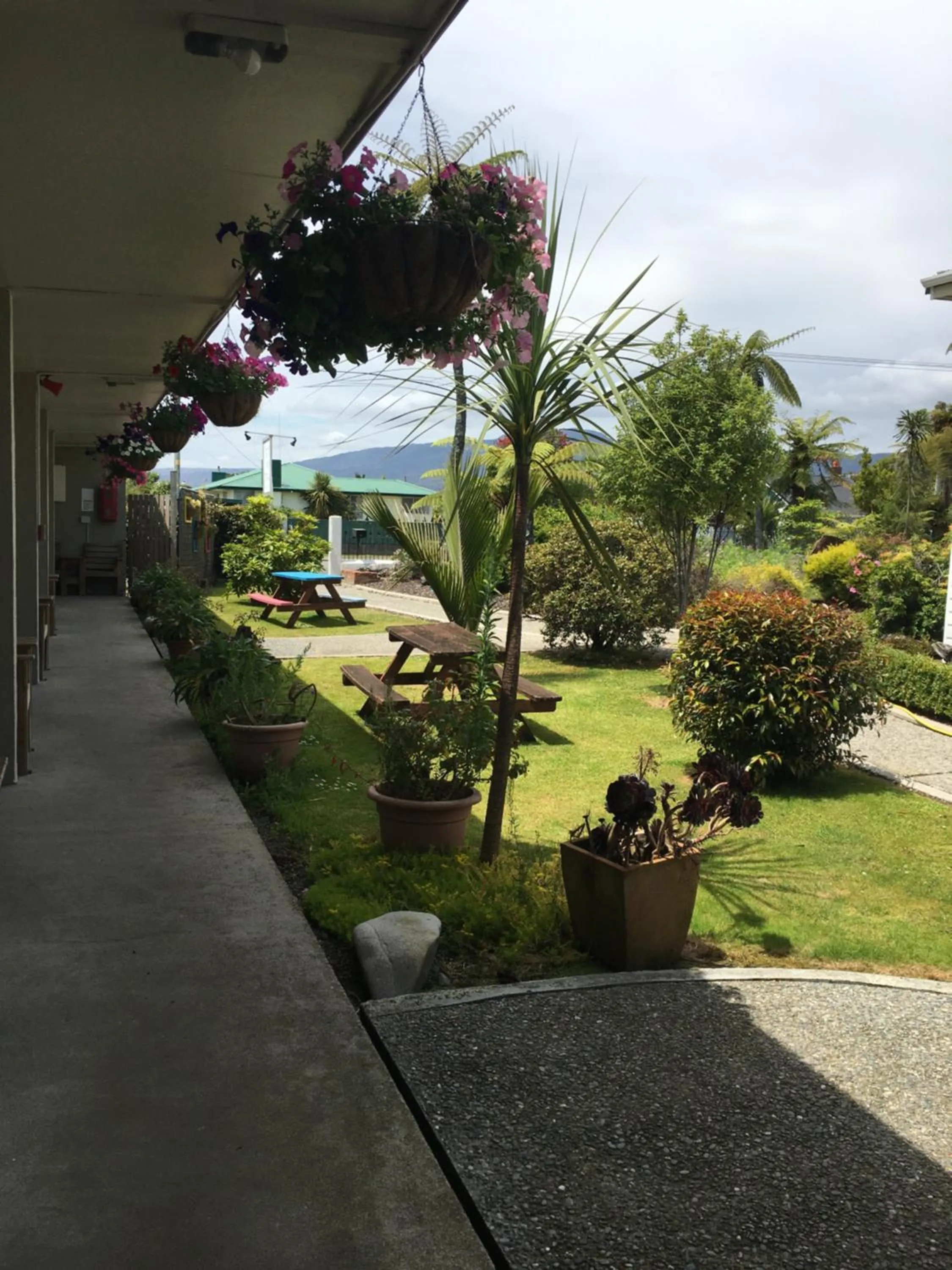 Garden in Tripinn Modern Motels & Affordable Accommodation