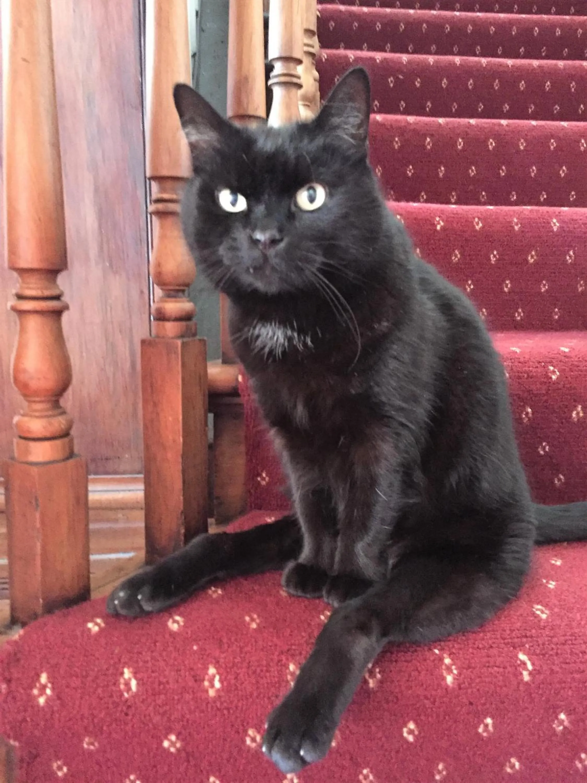 Tripinn Modern Motels & Affordable Accommodation