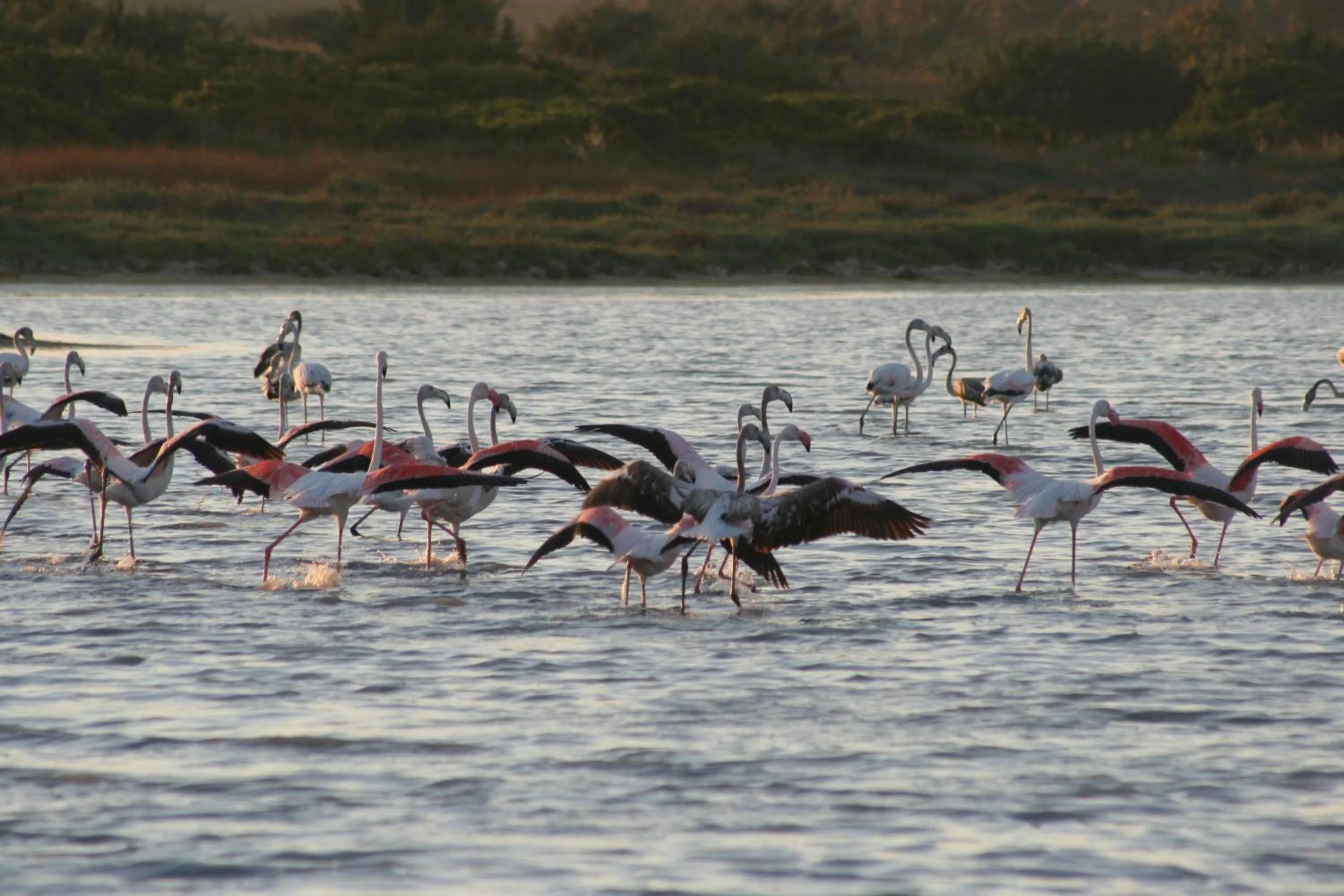 Nearby landmark in Albergo Residenziale Menhirs