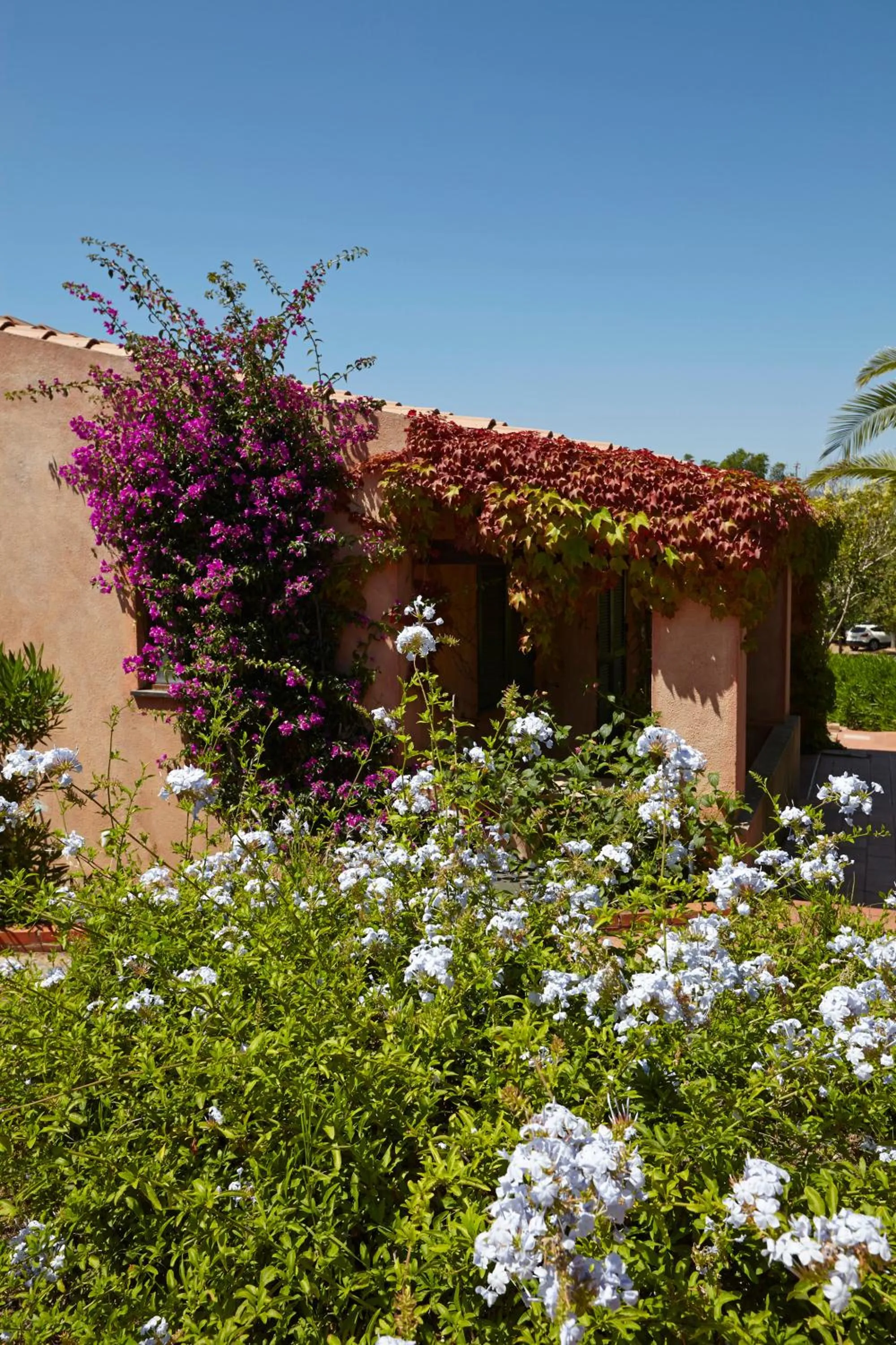 Facade/entrance in Residence Baia Salinedda