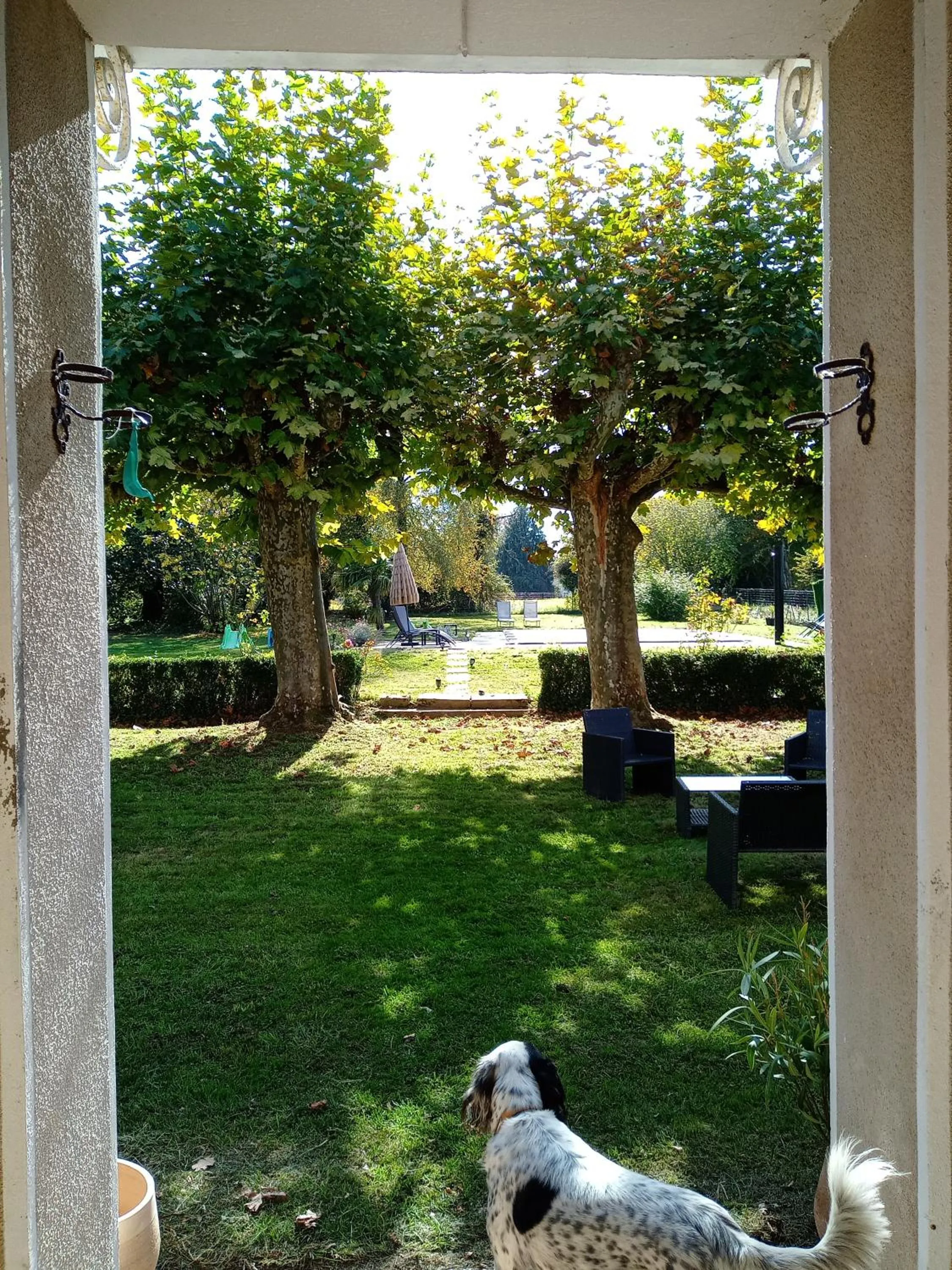 Garden in LA VILLA DU BEARN