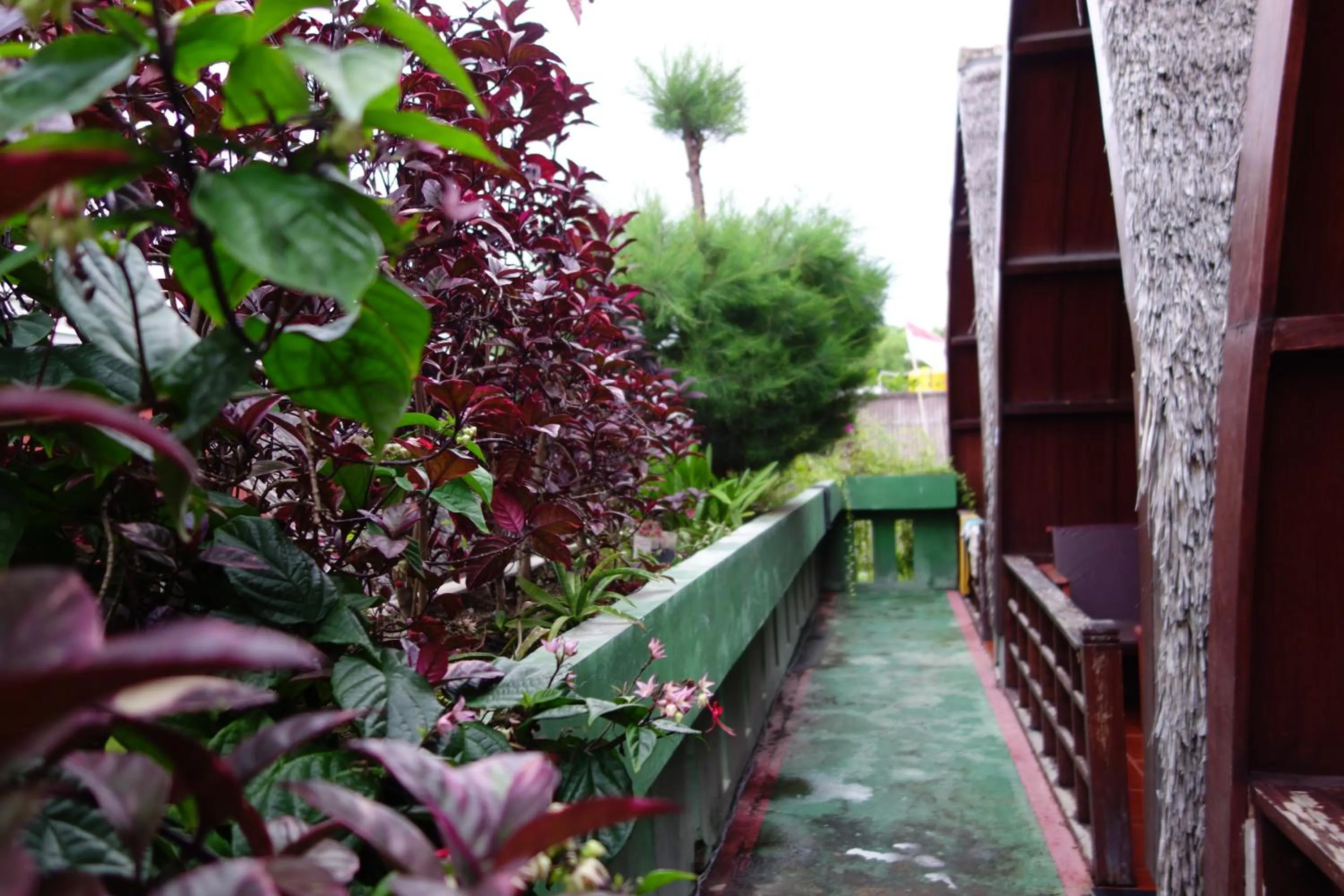 Garden view in Banana Leaf Bungalow