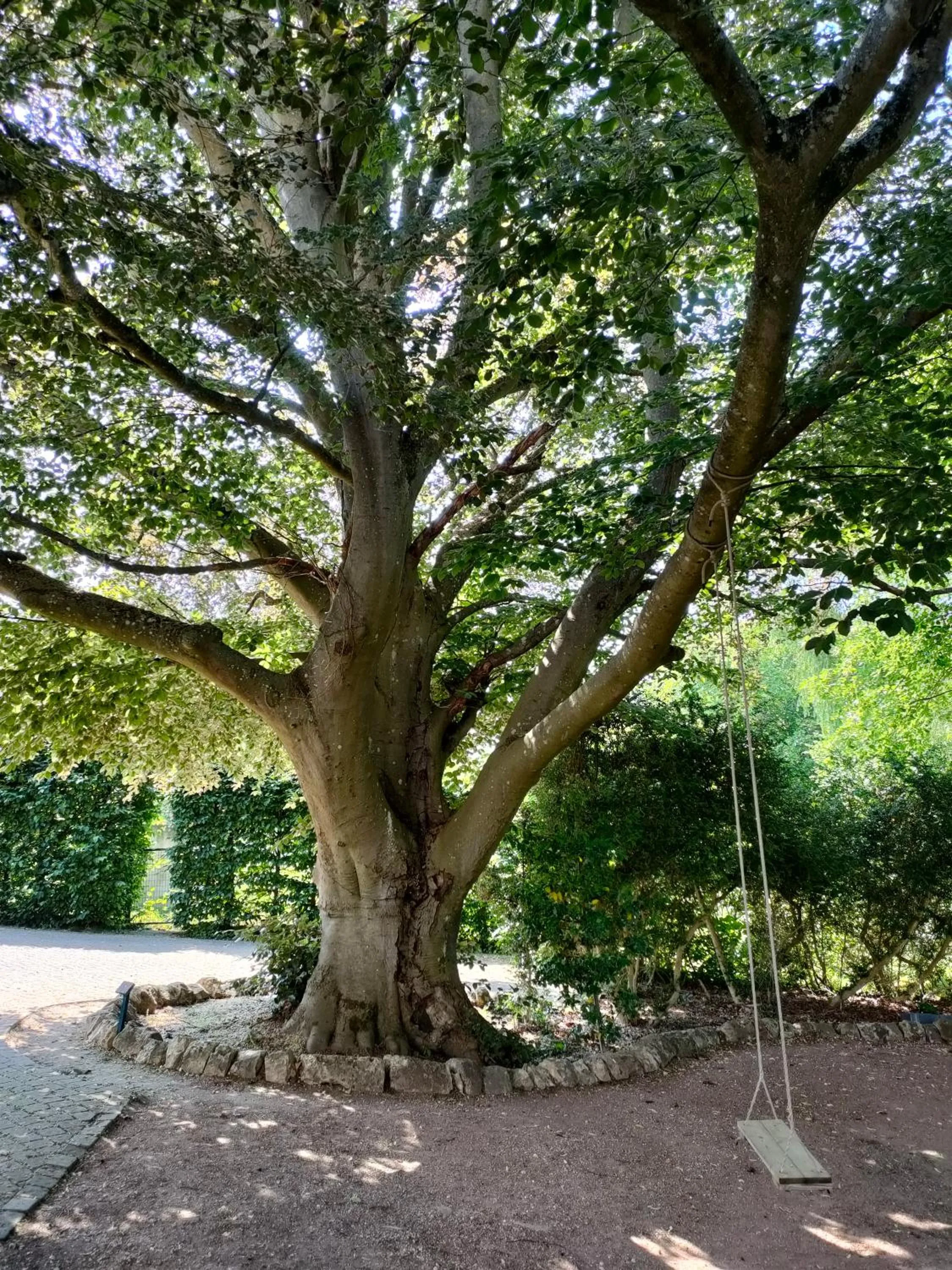 Children play ground in Chambres d'hôtes La Tuilerie