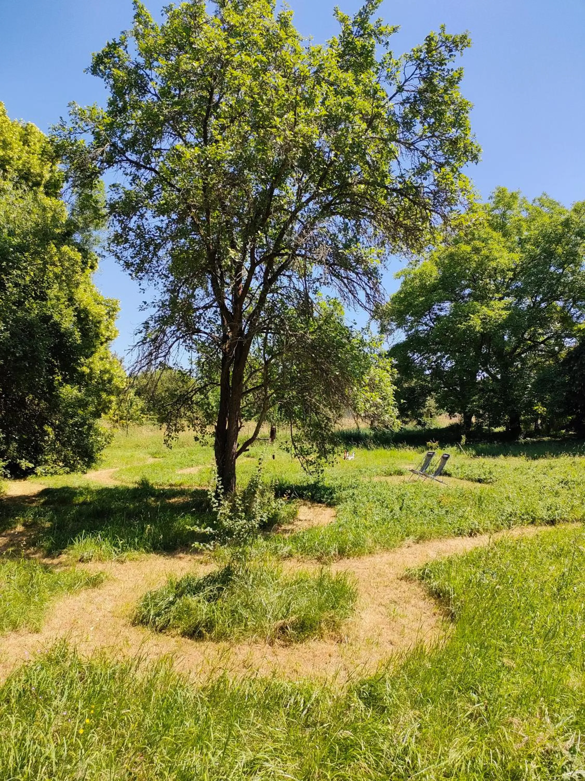 Garden in Chambres d'hôtes La Tuilerie