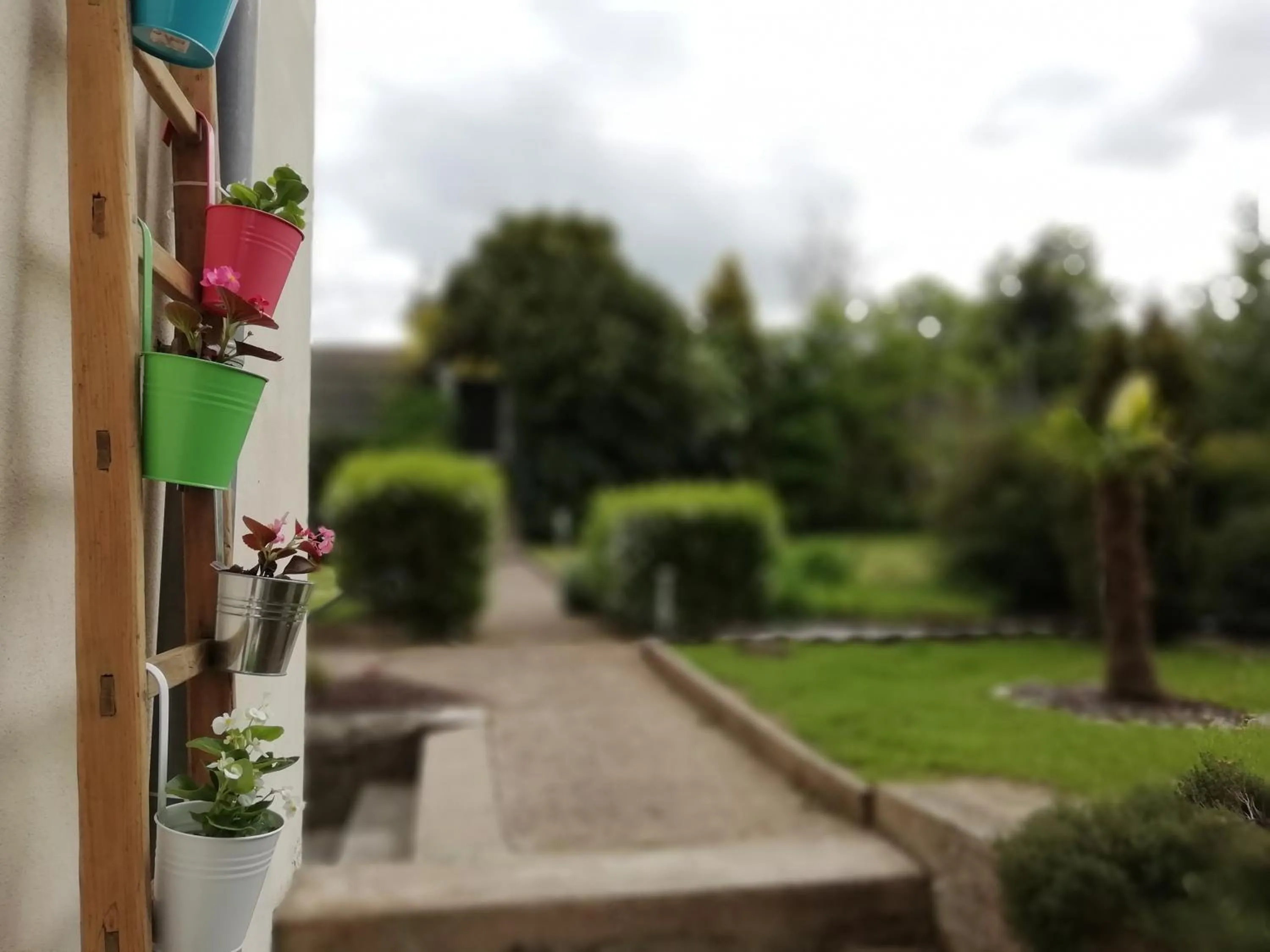 Garden in Chambres d'hôtes La Tuilerie