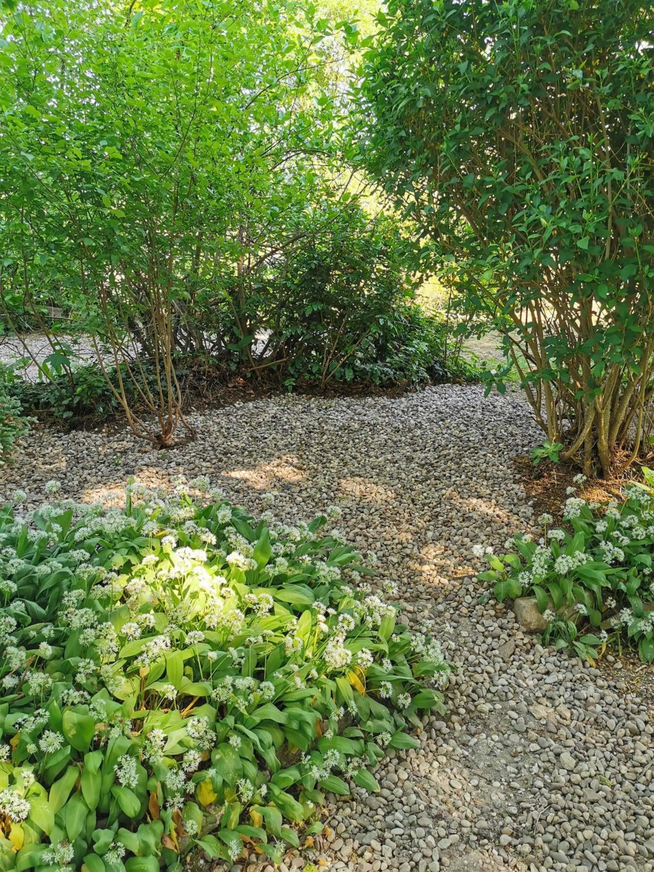 Natural landscape in Chambres d'hôtes La Tuilerie