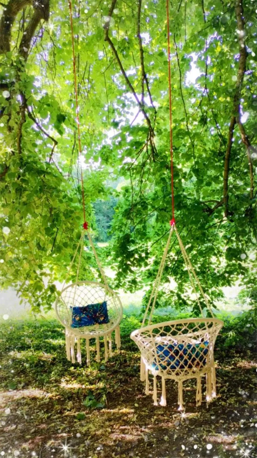 Garden in Chambres d'hôtes La Tuilerie