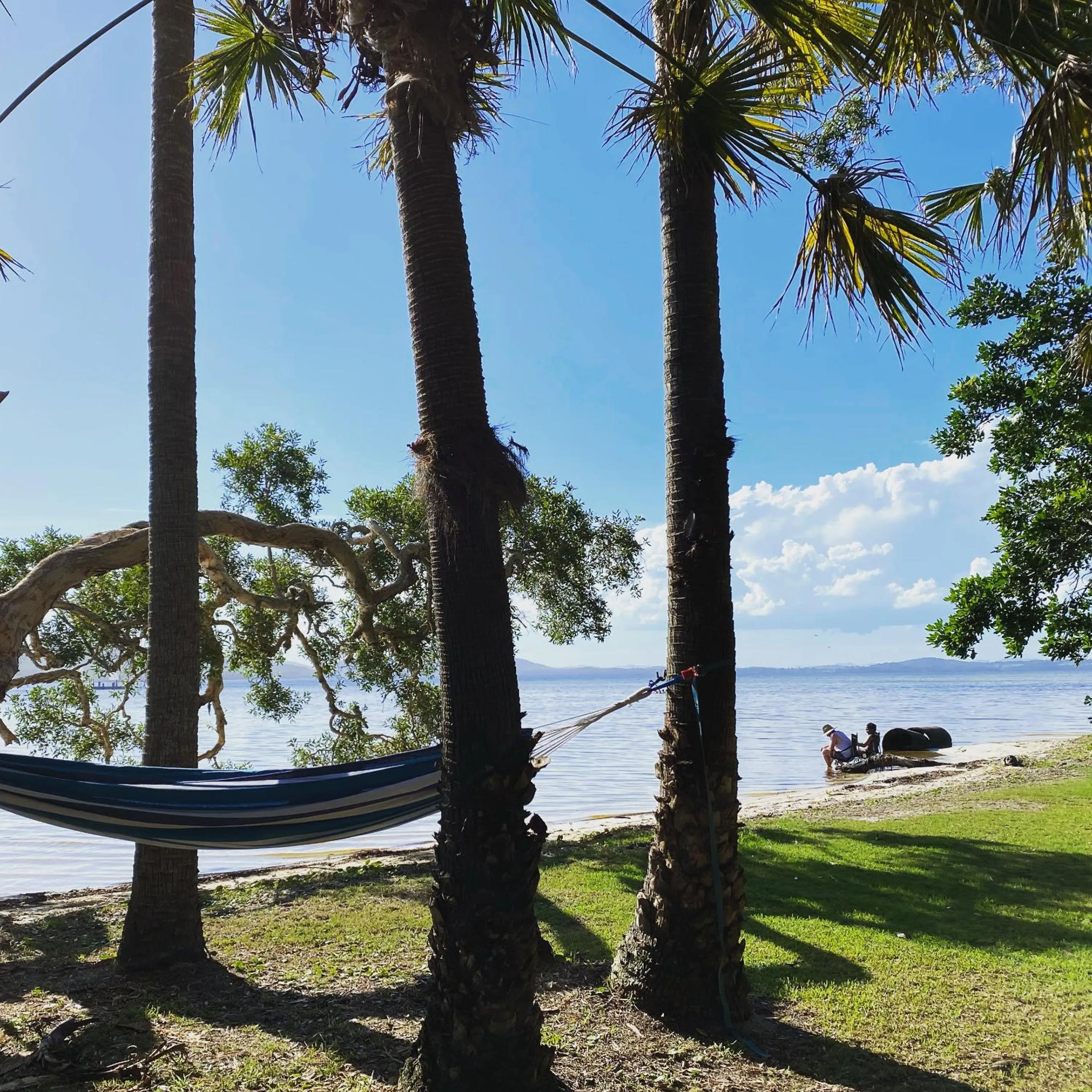 Natural landscape in Tiona Holiday Park