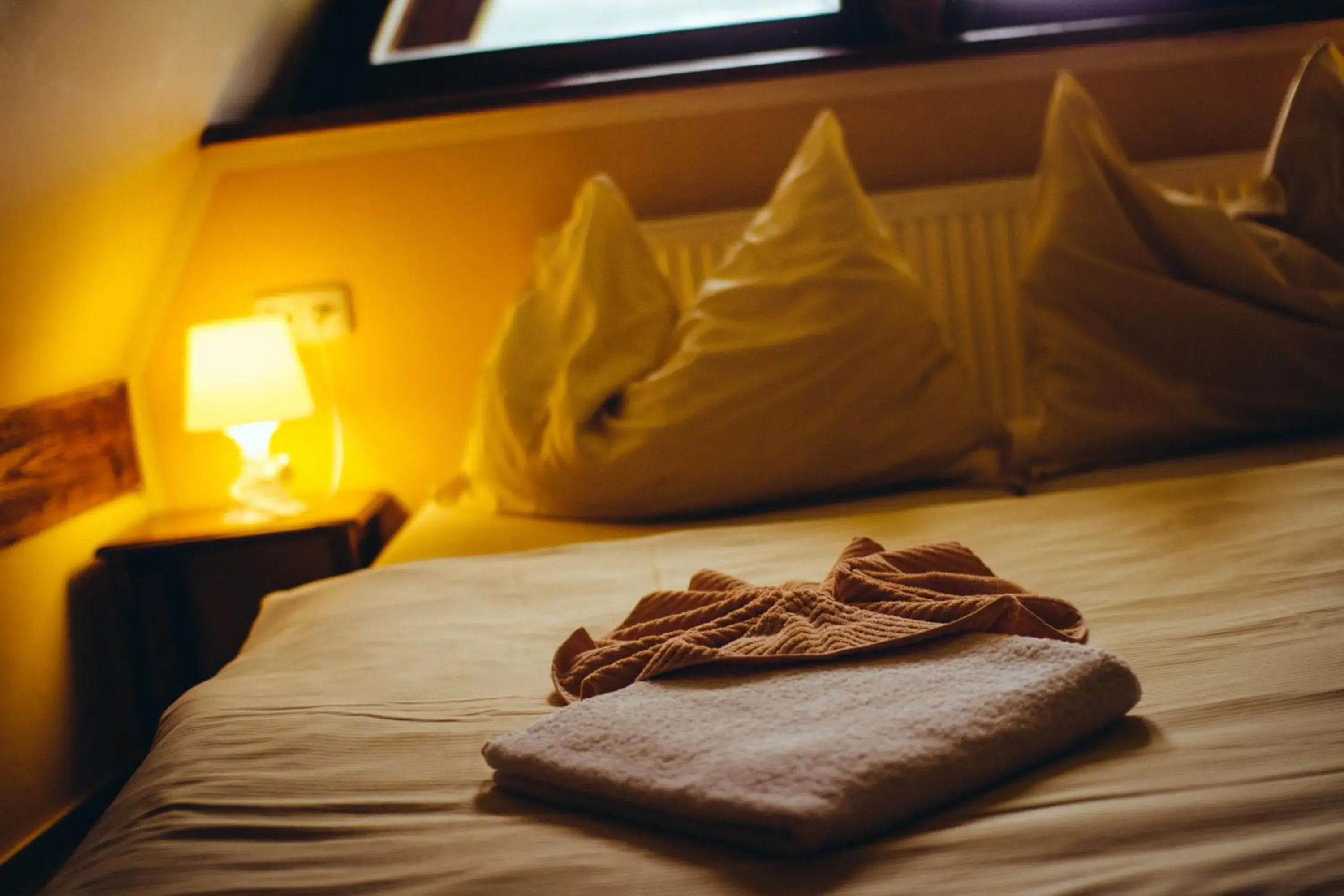 Double Room in Penzion Rotunda Double Room in Penzion Rotunda