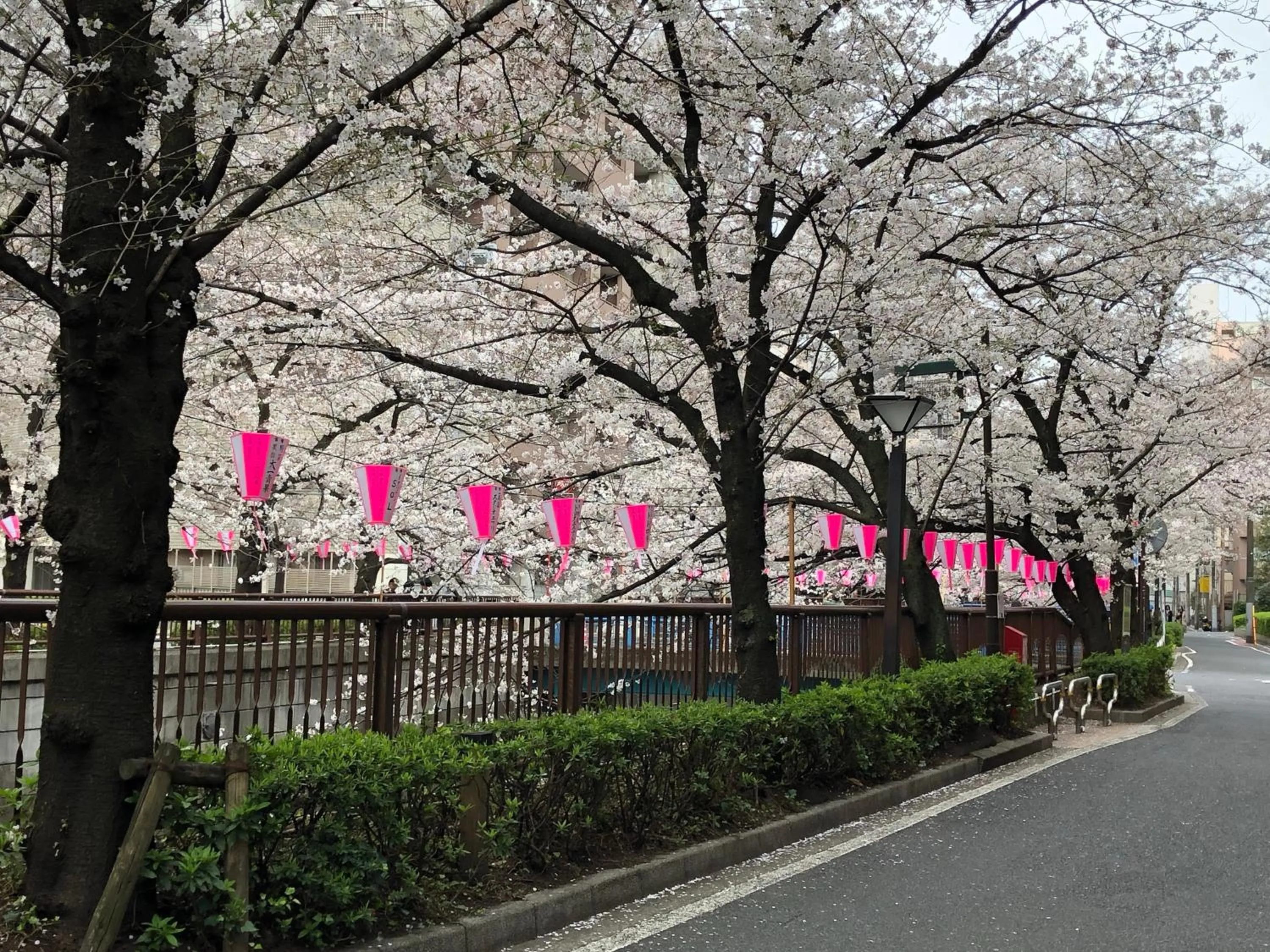 Off site in Wander Tokyo Shibuya