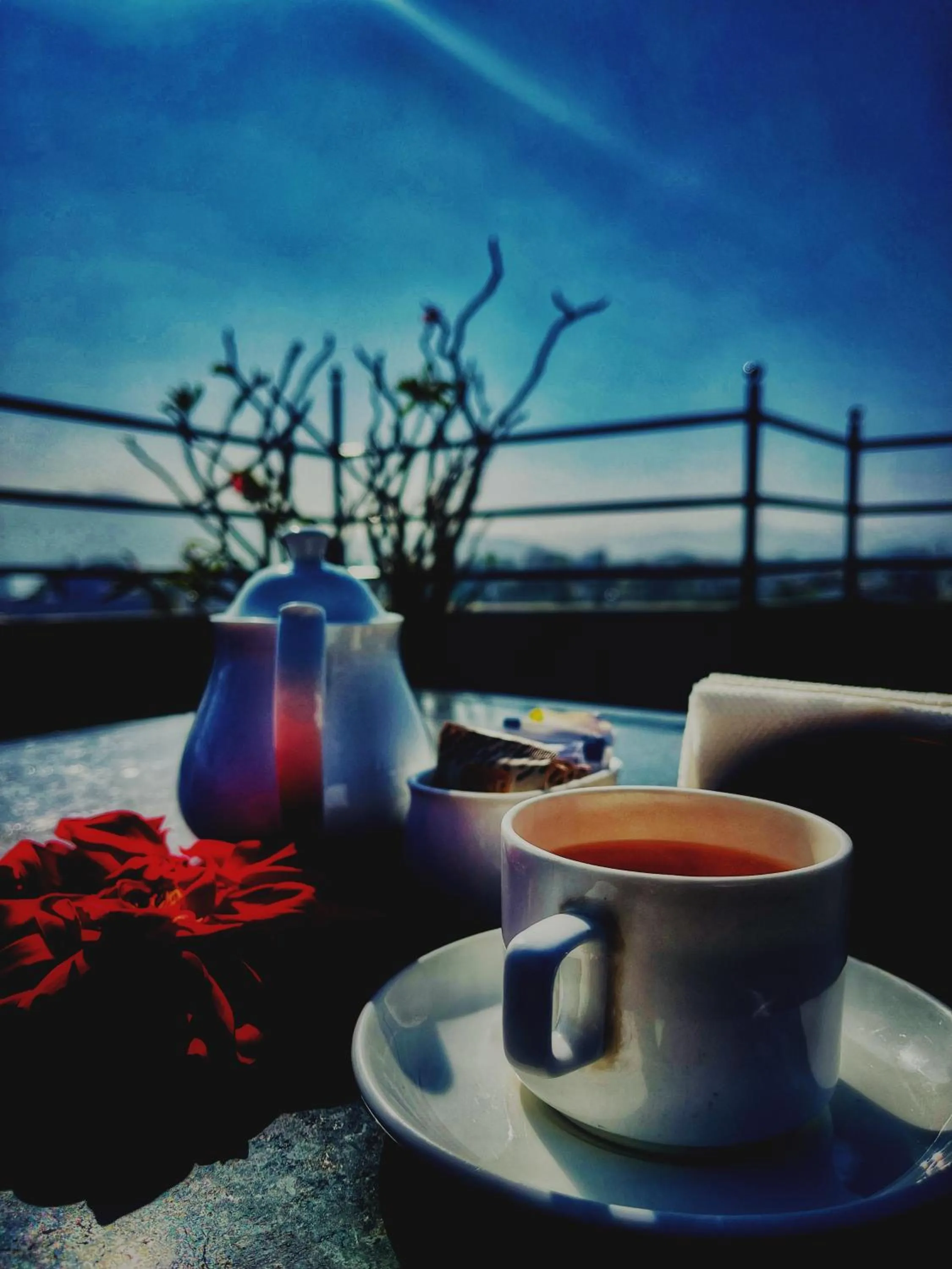 Restaurant/places to eat in Madri Haveli