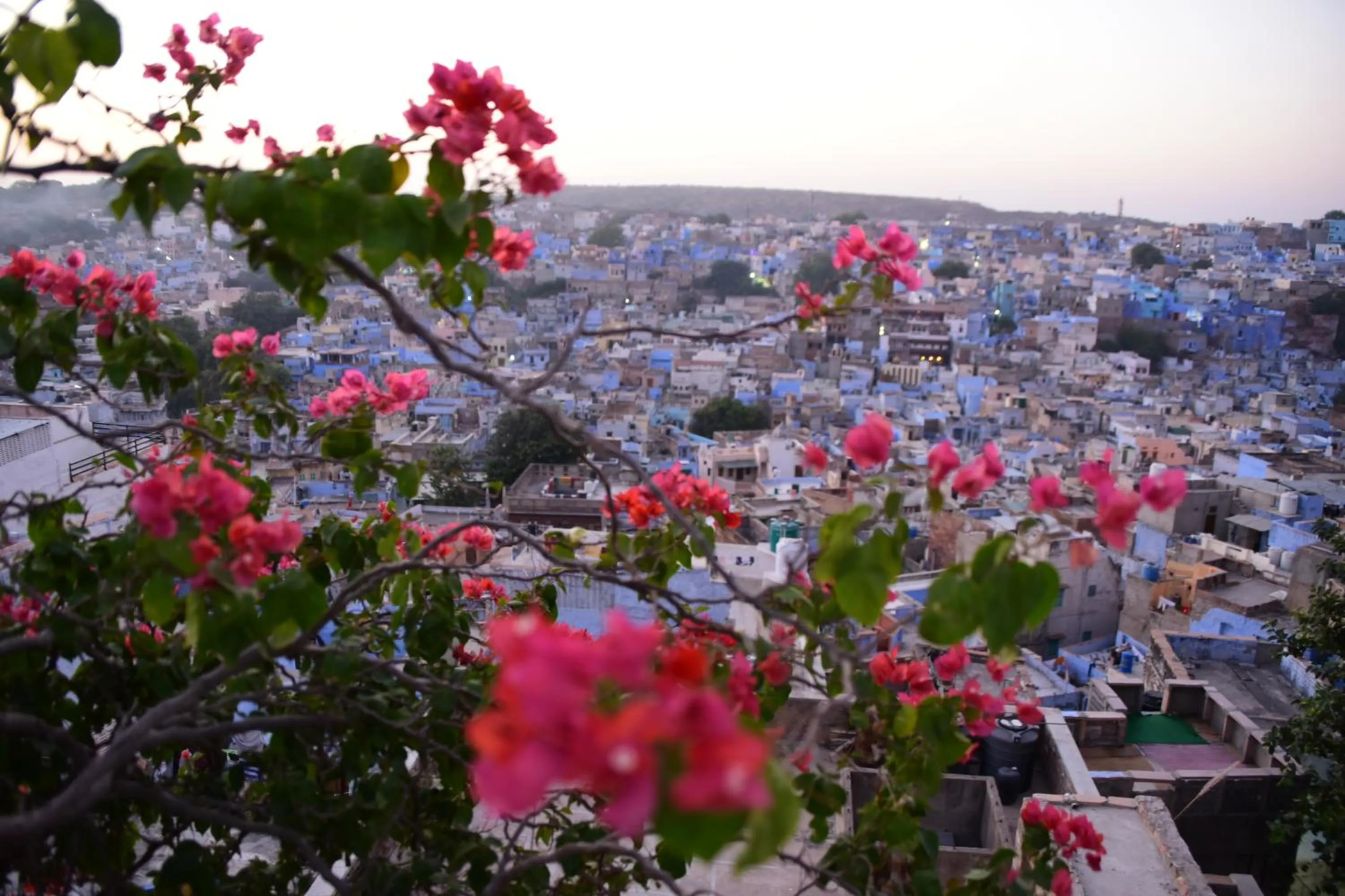 Natural landscape in Yogis Guest House