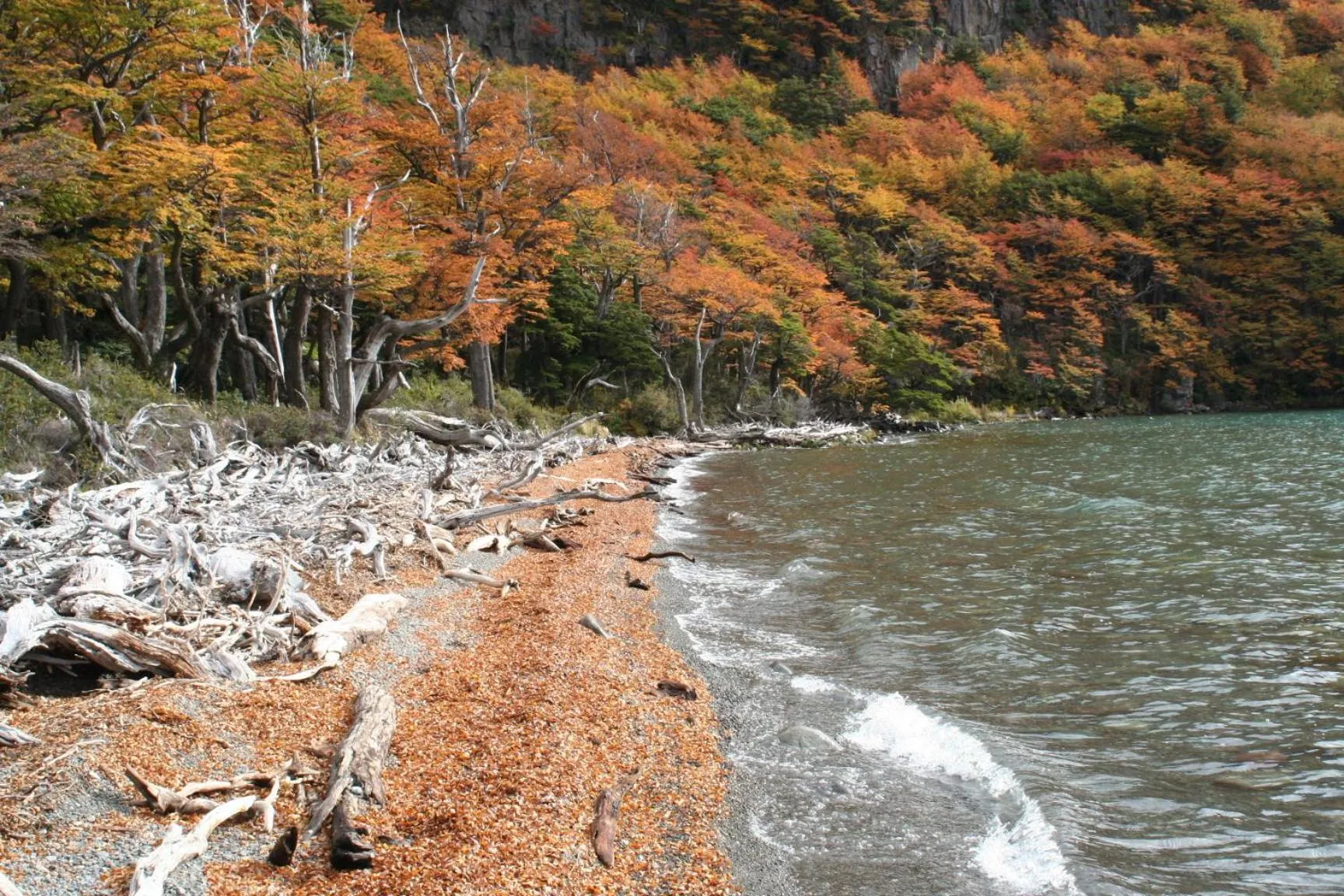 Area and facilities in Aguas Arriba Lodge
