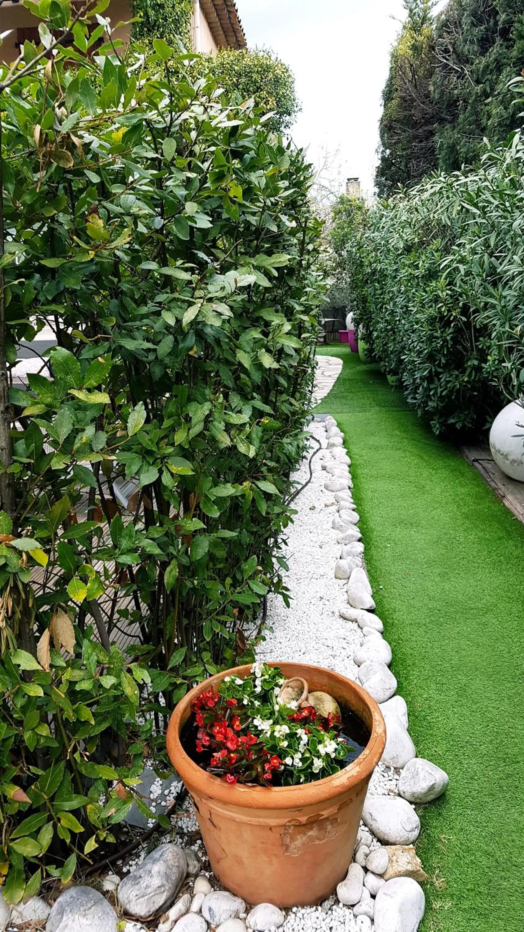 Garden in Le Mas de Marie