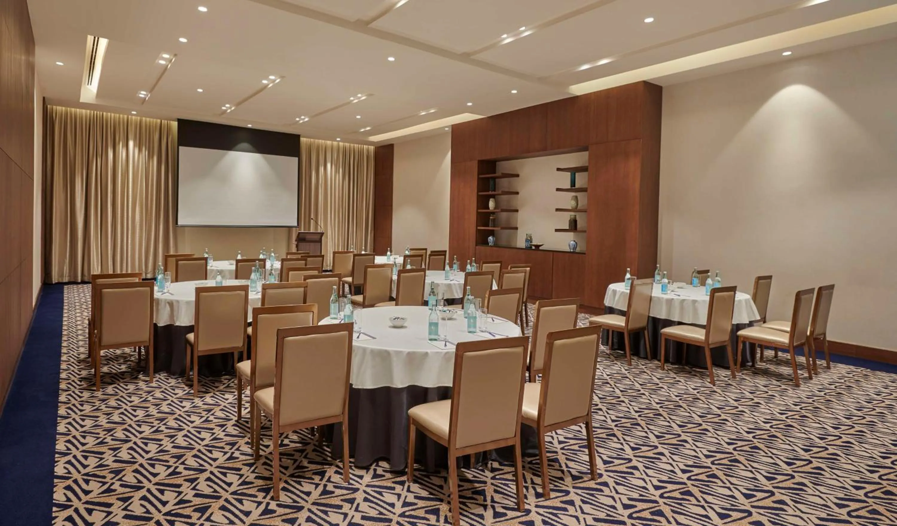 Meeting/conference room in Hyatt Regency Addis Ababa
