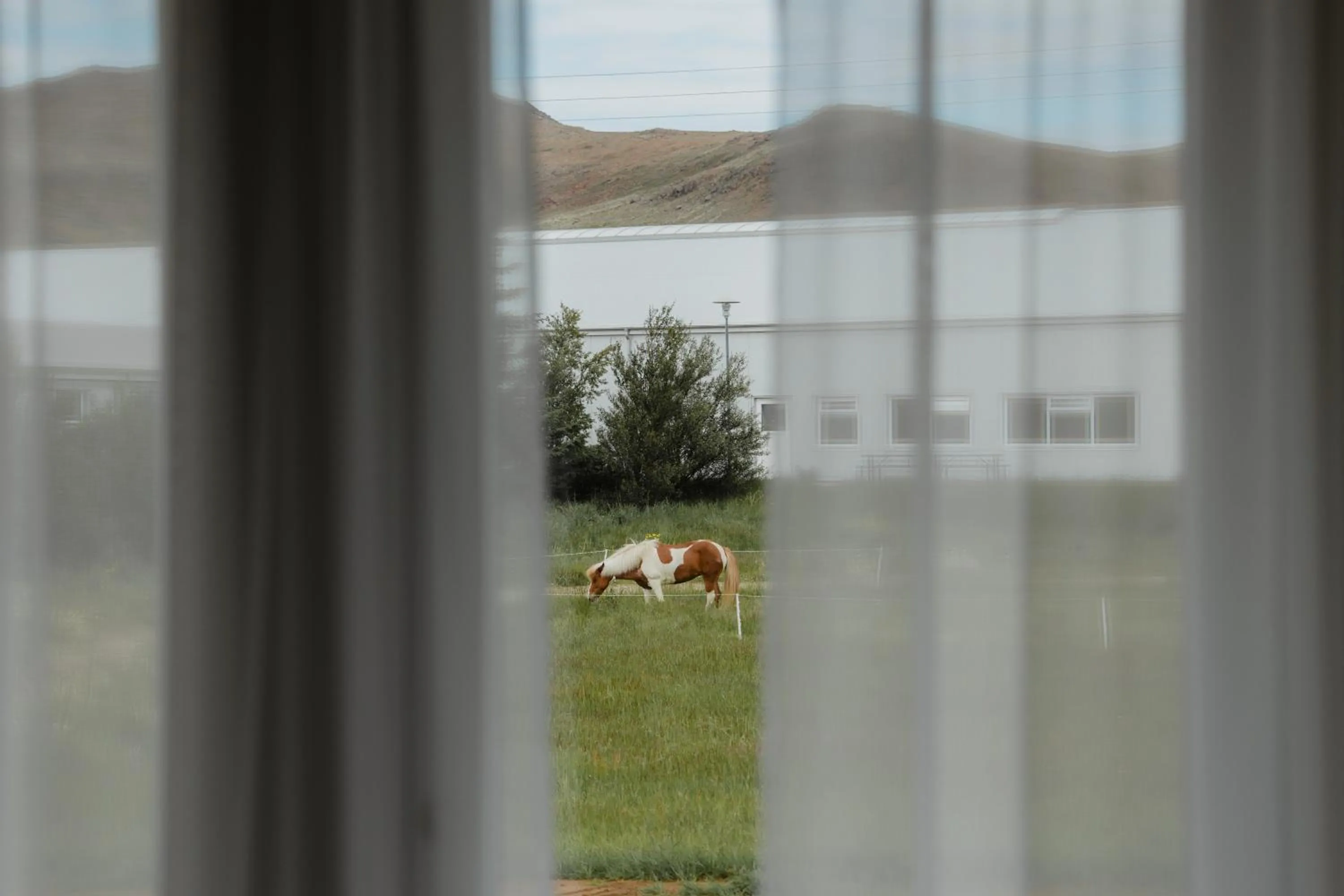 View (from property/room) in Hótel Eldhestar