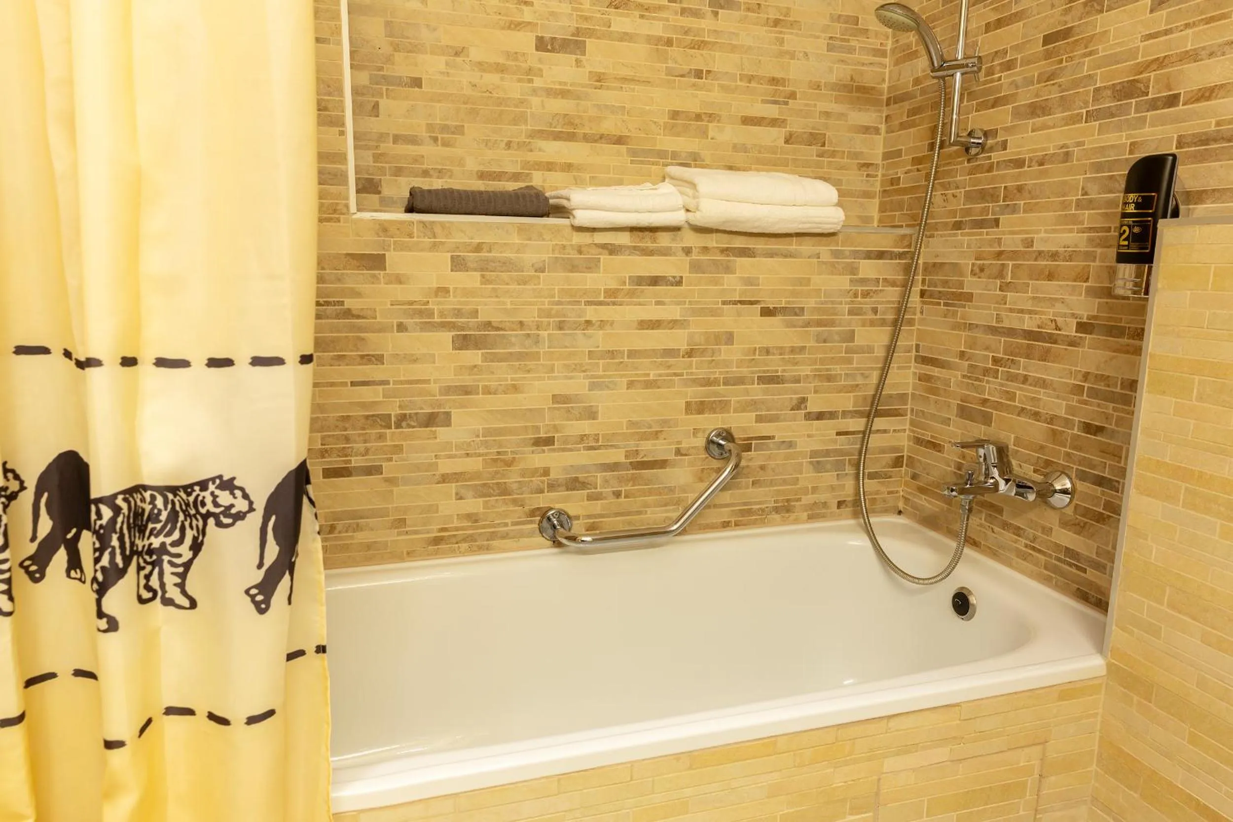 Shower in Hotel Max Inn