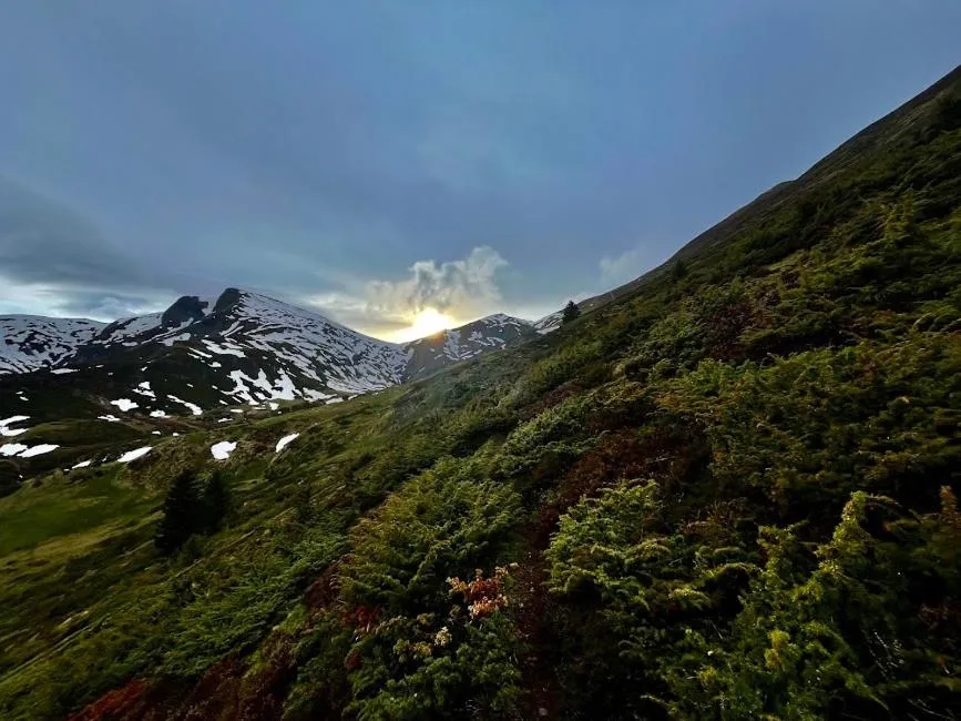 Pyrenées Emotions, Eco-responsables, Nature, Sports Aventures